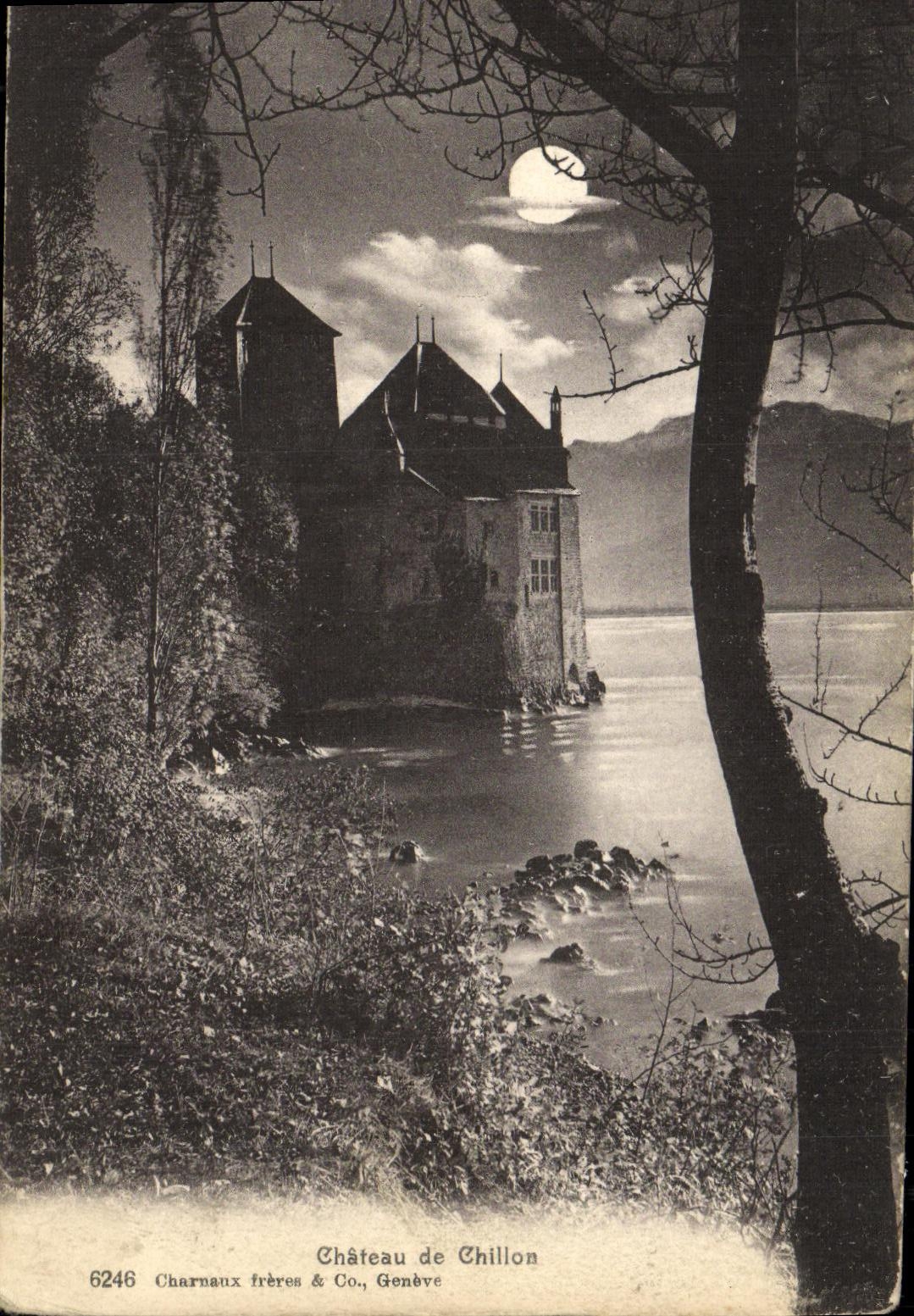 CPA Chateau De Chillon 