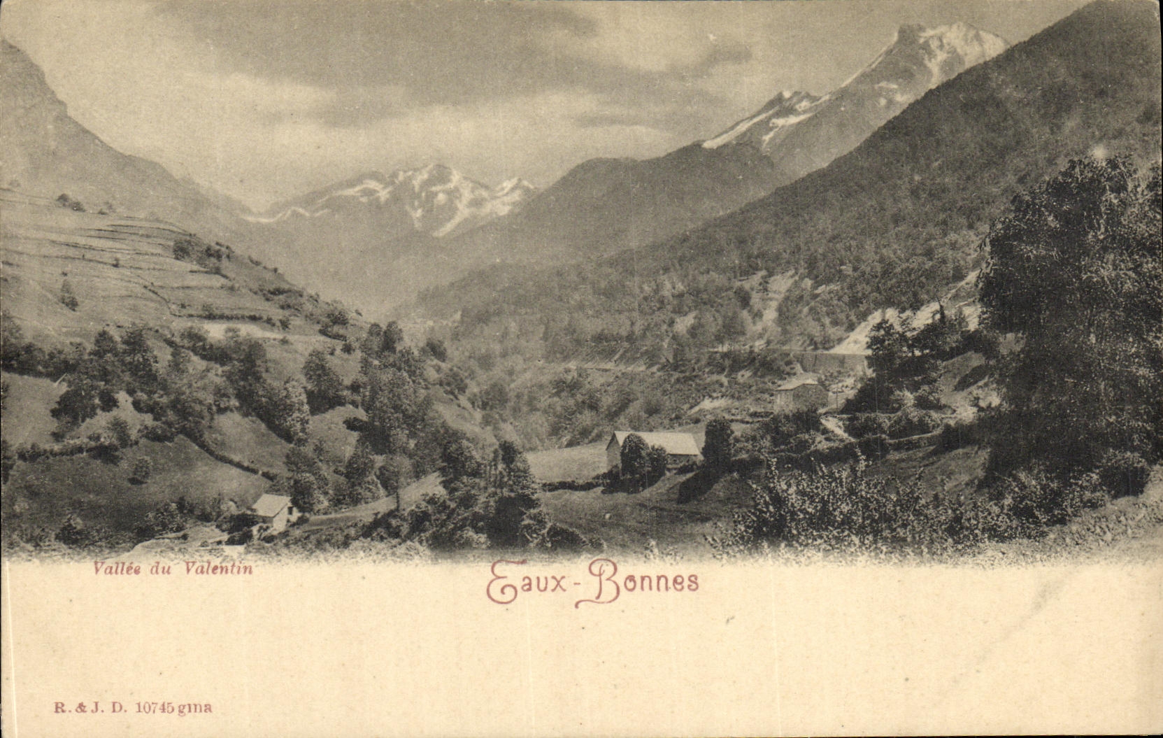 VINTAGE POSTCARD Good Water Valley of Valentine