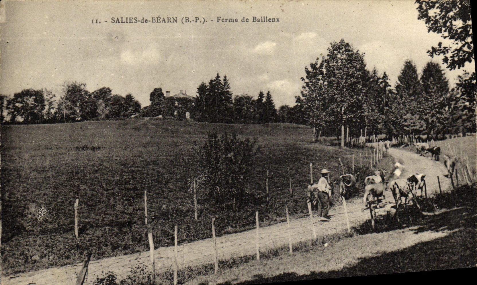 VINTAGE POSTCARD Dirtied De Bearn Firm De Bailleux Shepherd and his cows