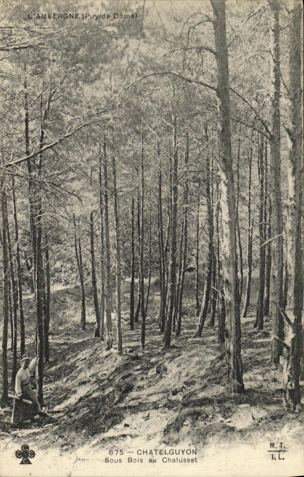 POSTAL ChatelGuyon de la VENDIMIA debajo de la madera en Chalusset