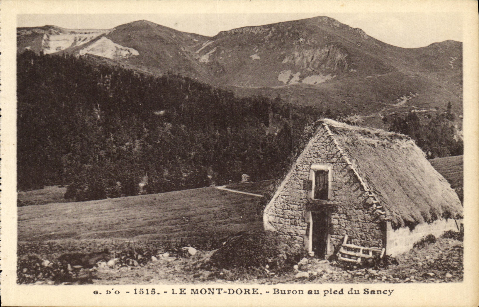 VINTAGE POSTCARD the Mount Gilds Buron with the Foot of Sancy