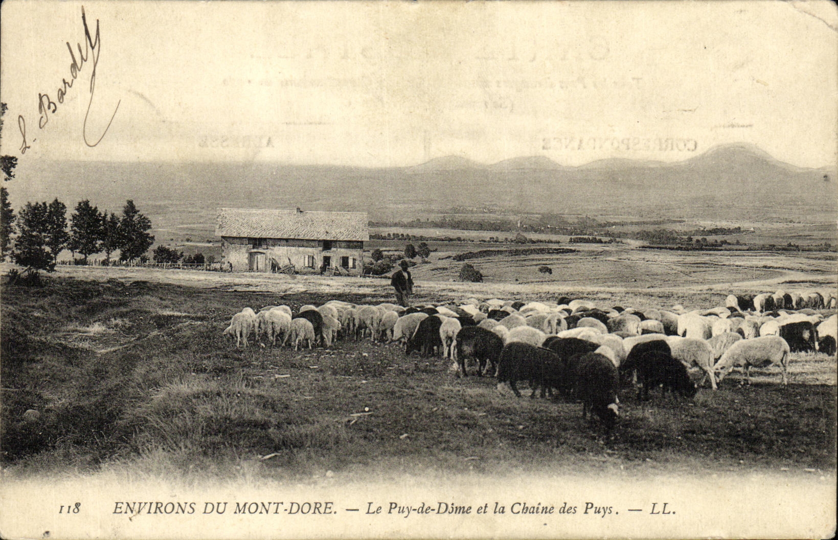 VINTAGE POSTCARD Environs of the Mount Gilds Puy de Dome and the Chain Of Puys Berger and sheep