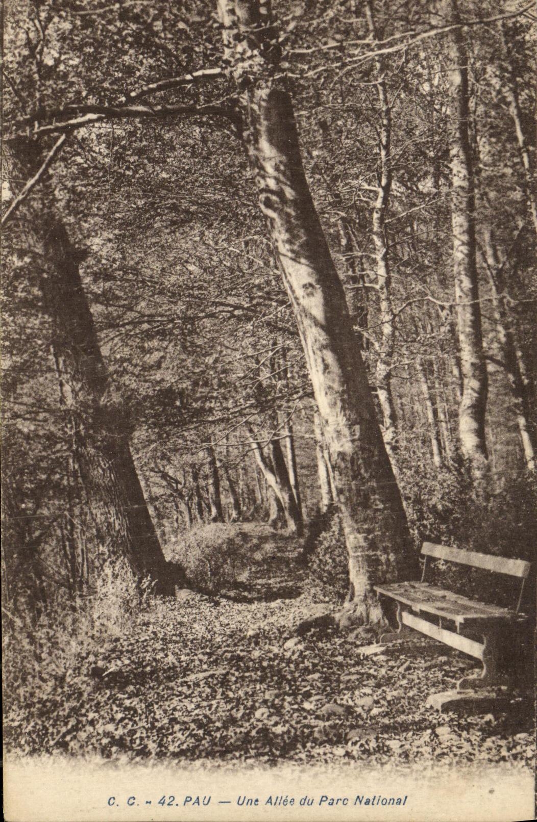 VINTAGE POSTCARD Pau an Alley Of the National park