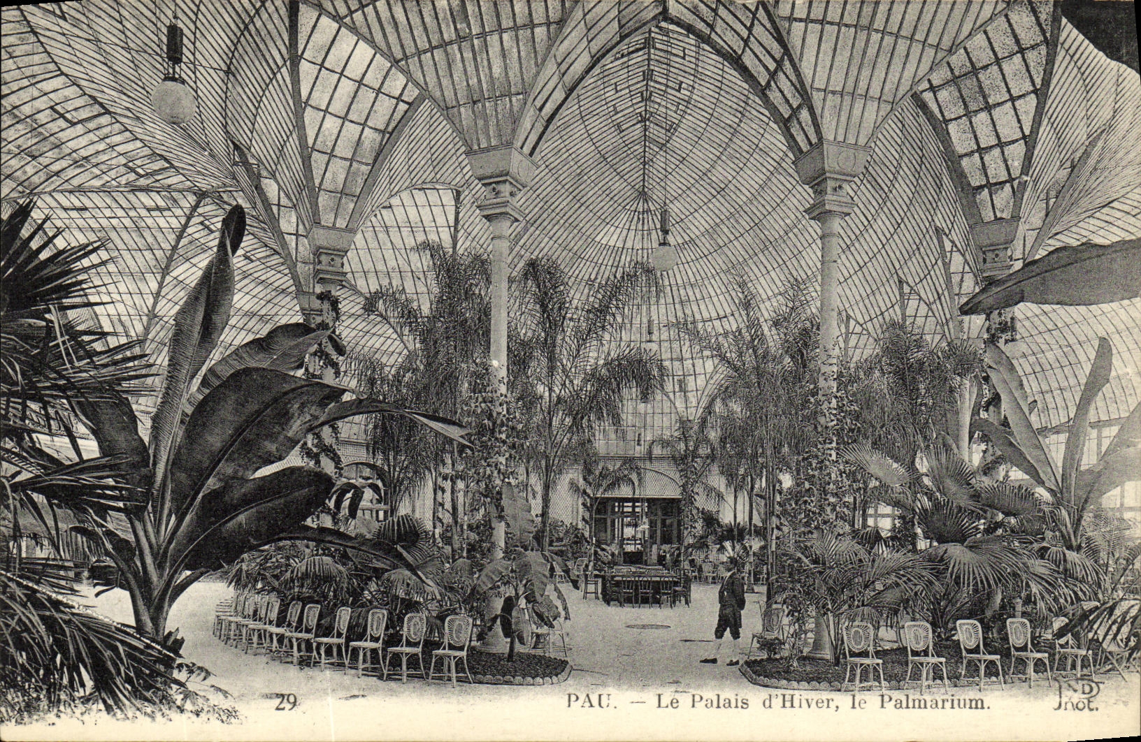VINTAGE POSTCARD Pau the Palate D Winter the Palm house