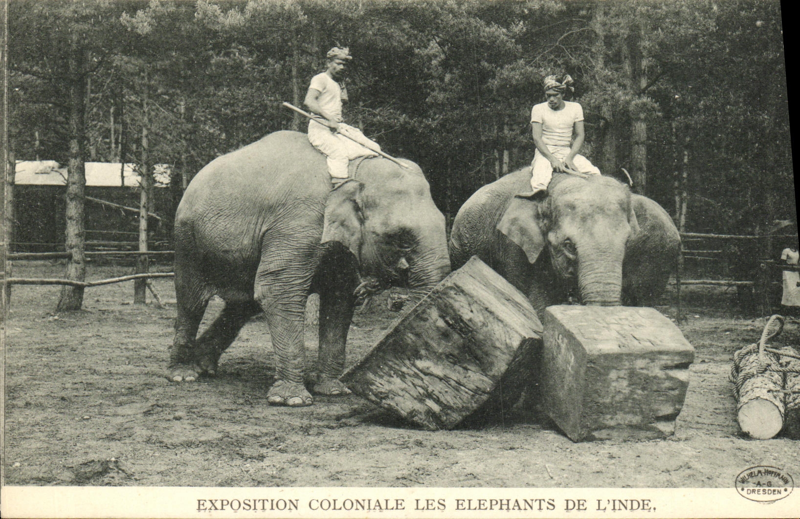 CPA Paris Exposition Coloniale Les Elephants De L inde