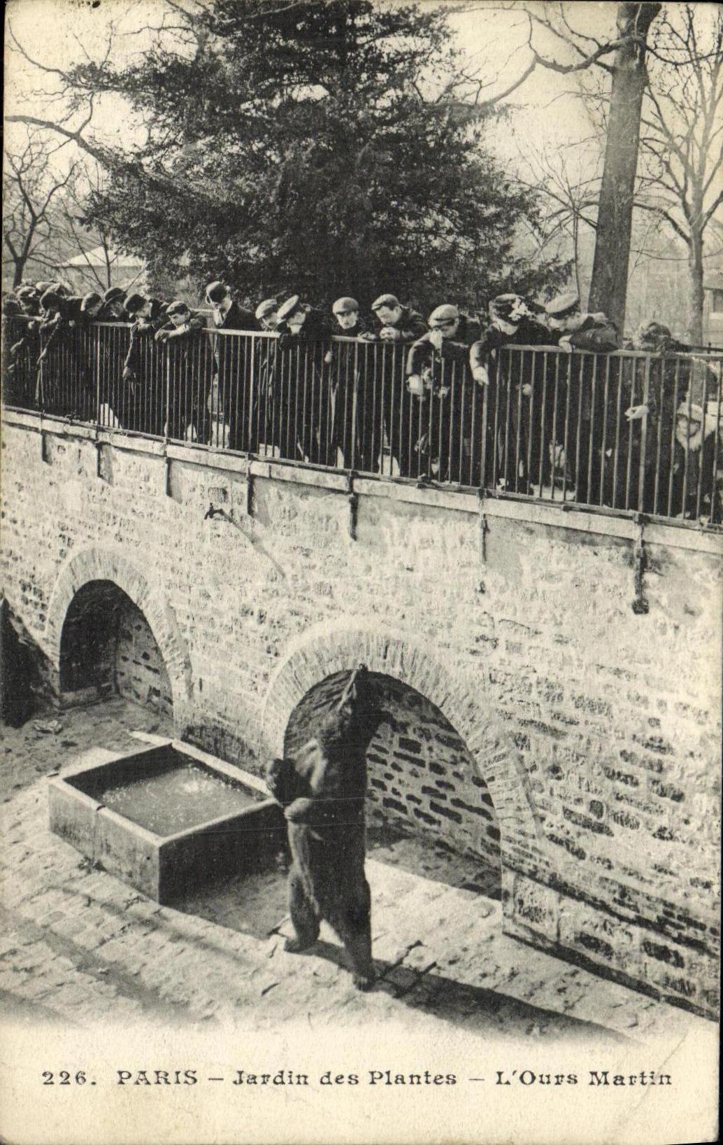 VINTAGE POSTCARD Paris Botanical garden L Martin Bear
