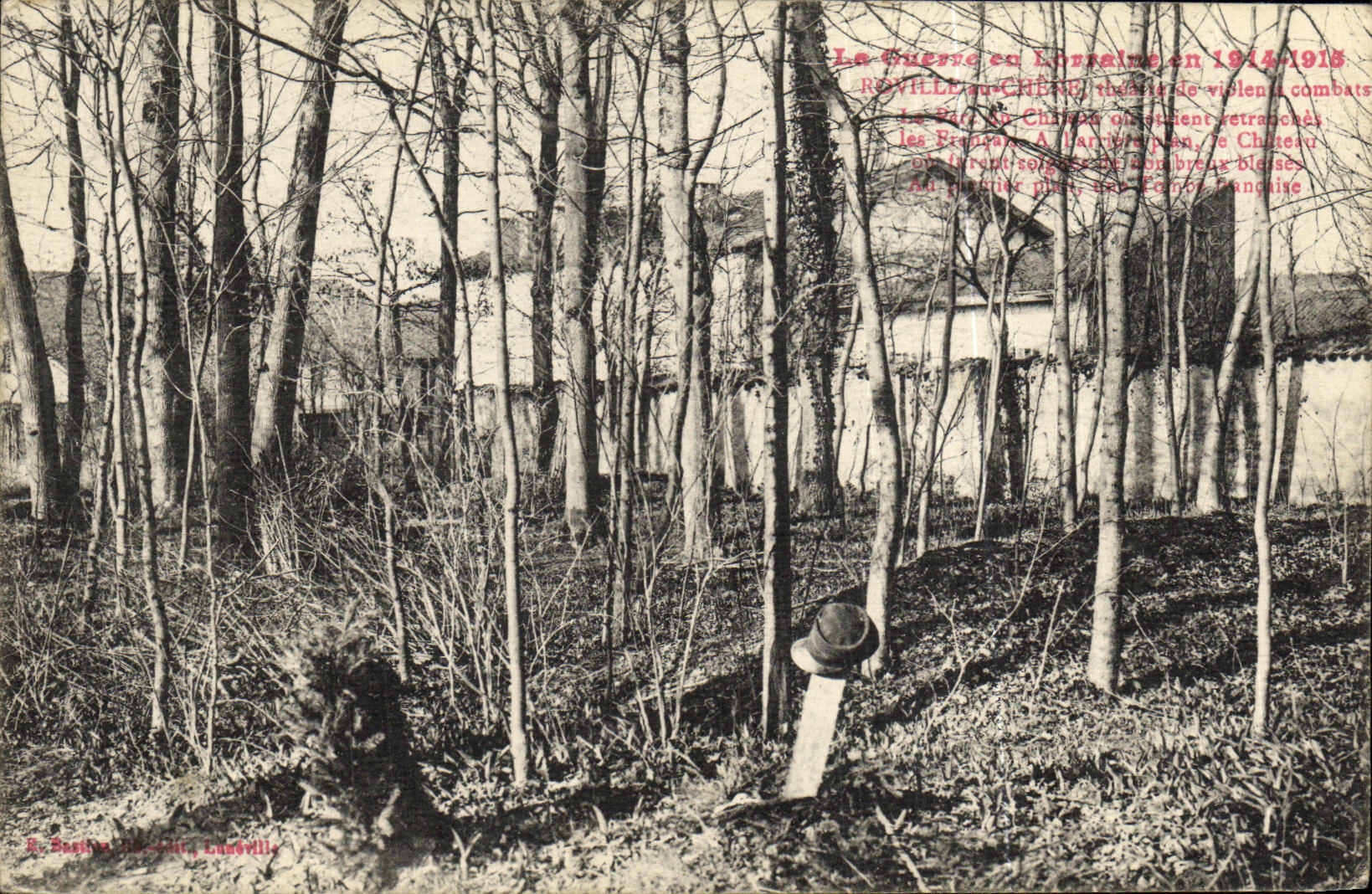 VINTAGE POSTCARD Roville with the Militaria oak