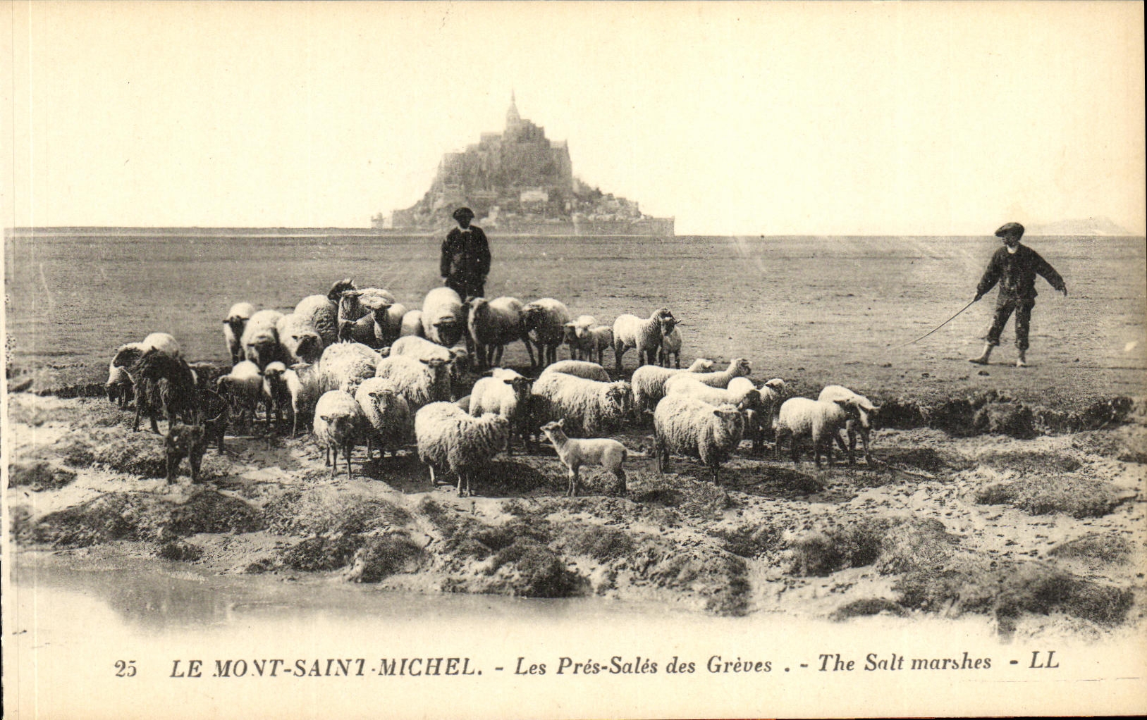 CPA Le Mont Saint Michel Les Pres Sales des Greves Berger et moutons