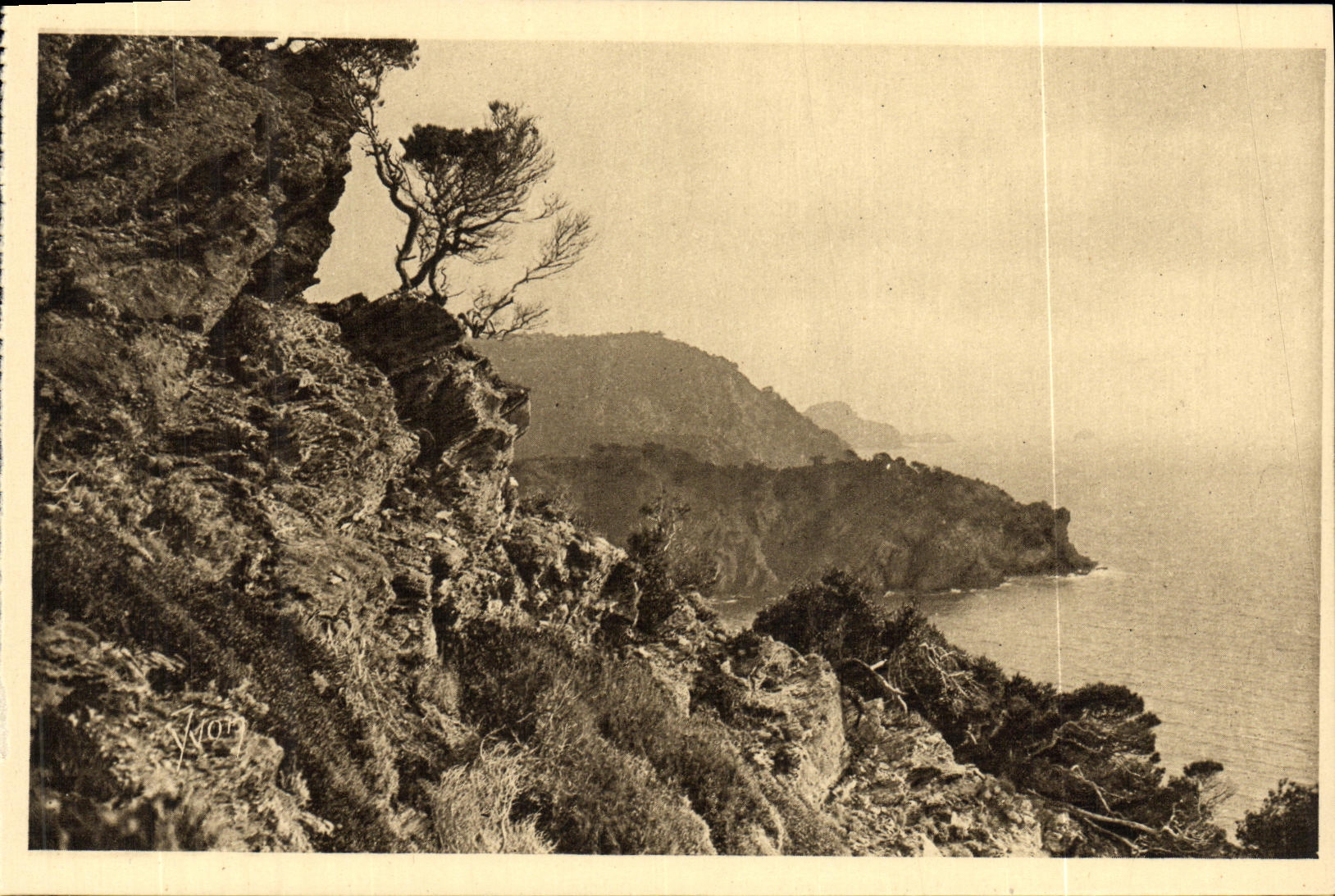 CPA Les Iles D Hyeres Porquerolles Vue sur la Pointe de L Oustaou
