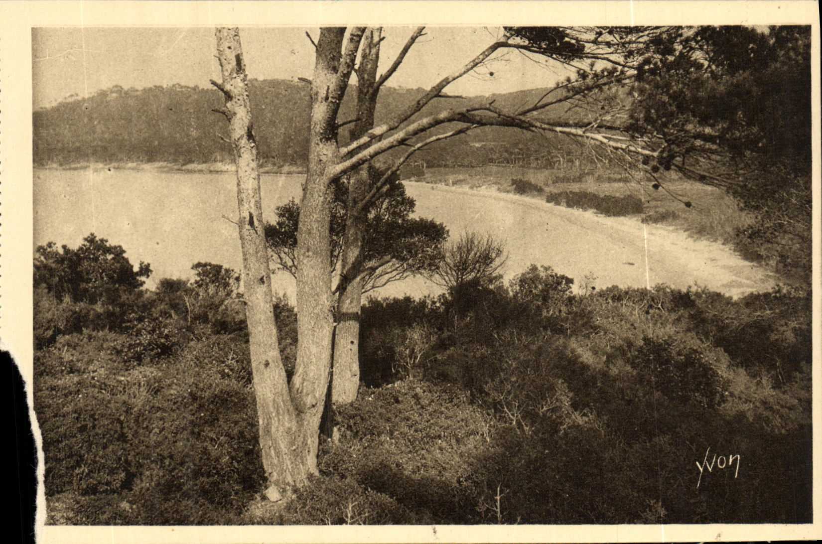 CPA Les Iles D Hyeres Porquerolles La Grande Plage