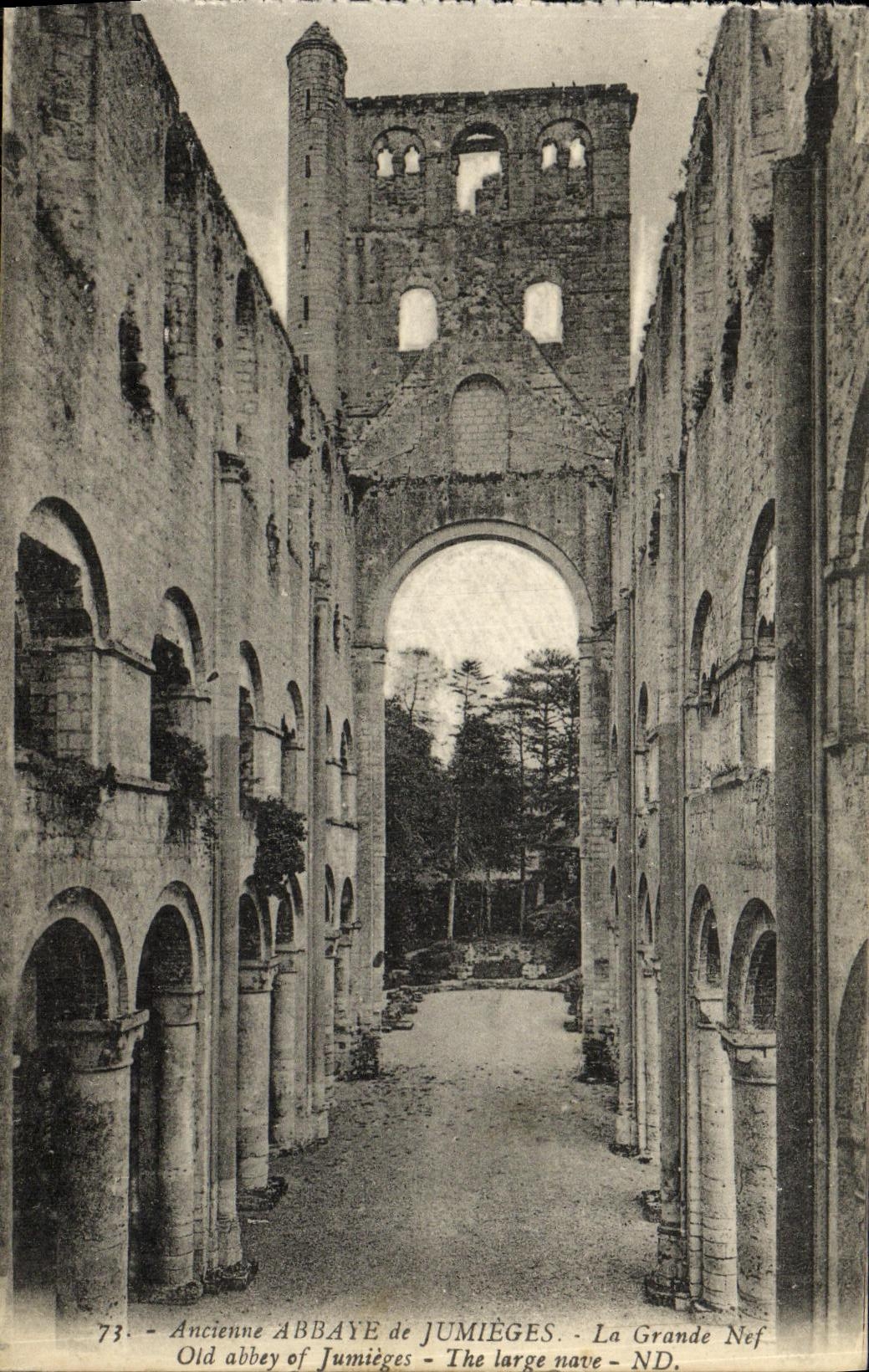 VINTAGE POSTCARD Old Abbey of Jumieges the Great nave