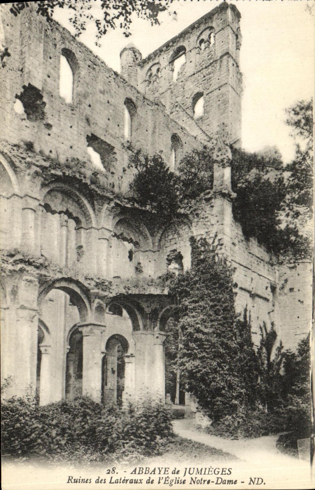 VINTAGE POSTCARD Old Abbey of Jumieges Ruins of Side of L Notre Dame Church