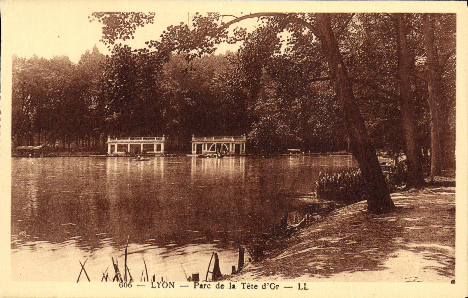 VINTAGE POSTCARD Lyon the Park of the Head D Cr