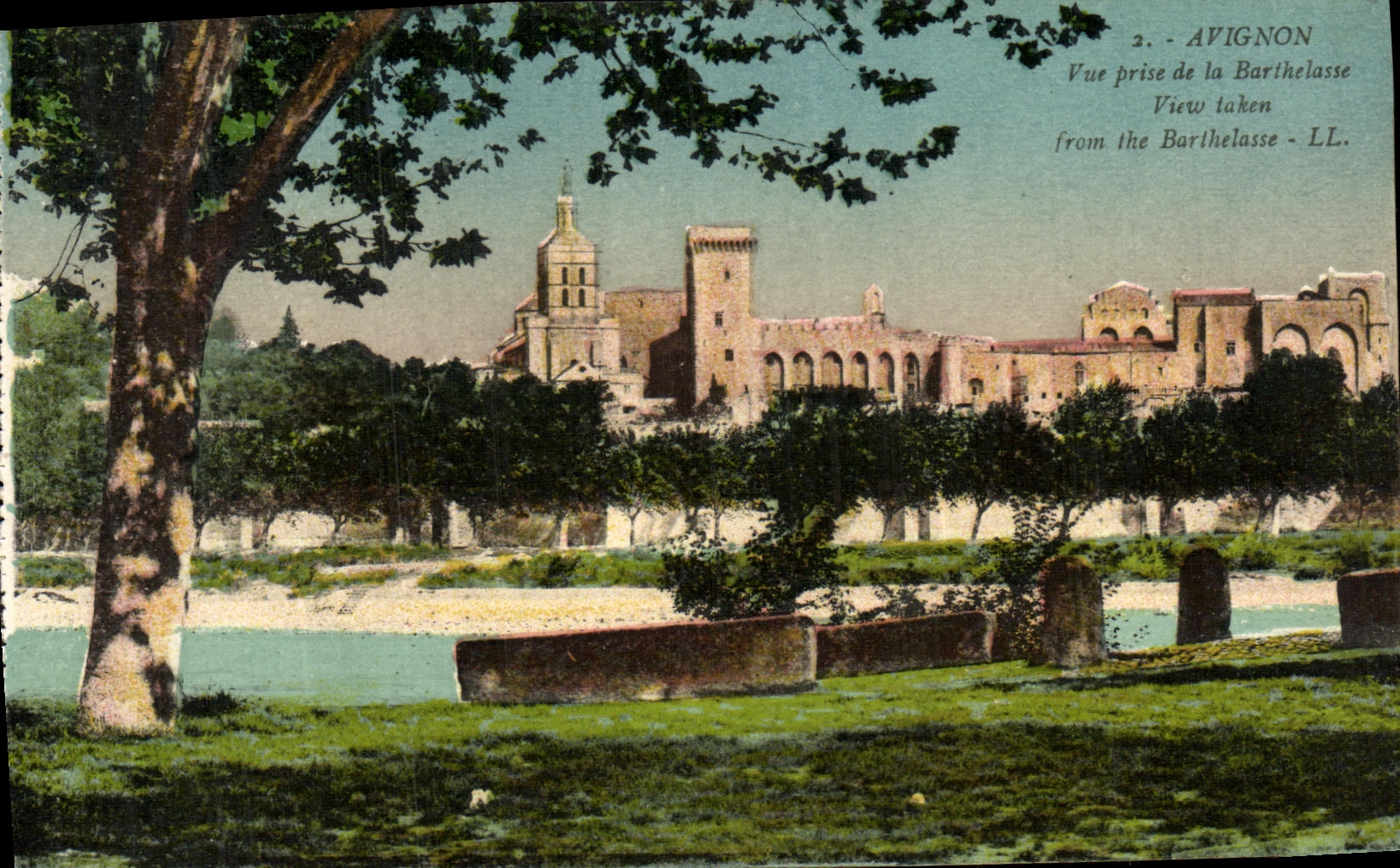 POSTAL Avignon de la VENDIMIA vista de Barthelasse