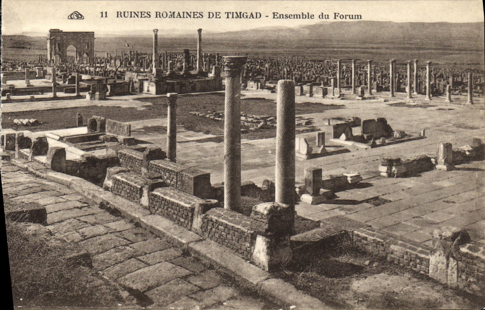 CPA Ruines Romaines De Timgad Ensemble du forum