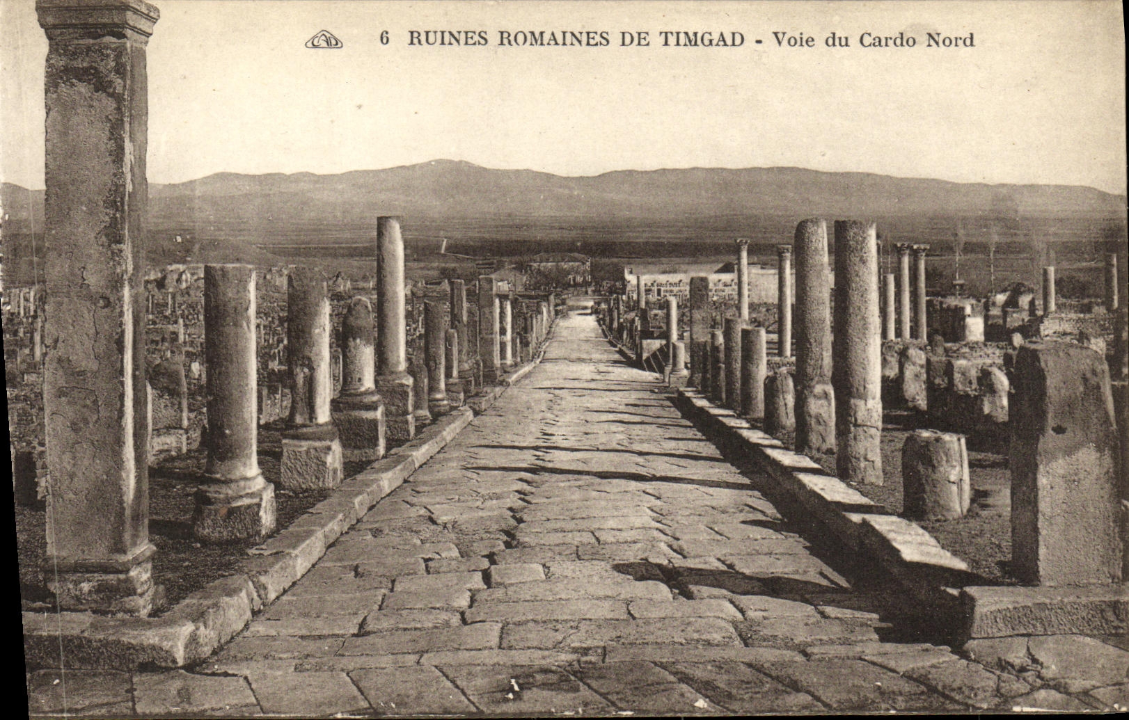 CPA Ruines Romaines De Timgad Voie du Cardo Nord