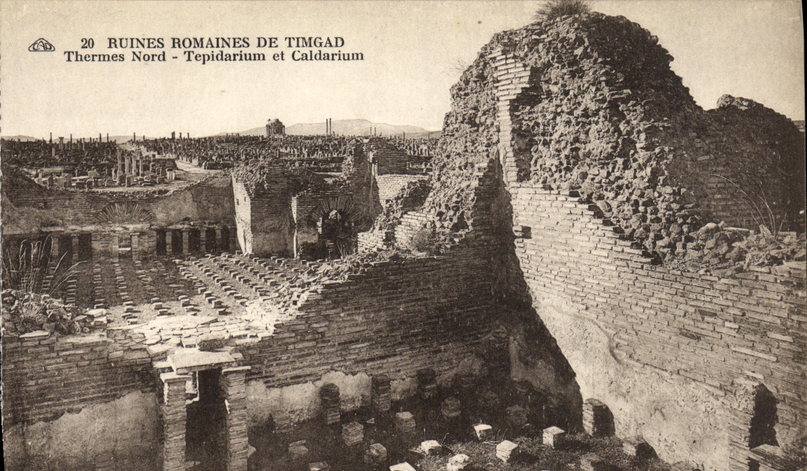 CPA Ruines Romaines De Timgad Thermes Nord Tepidarium et caldarium