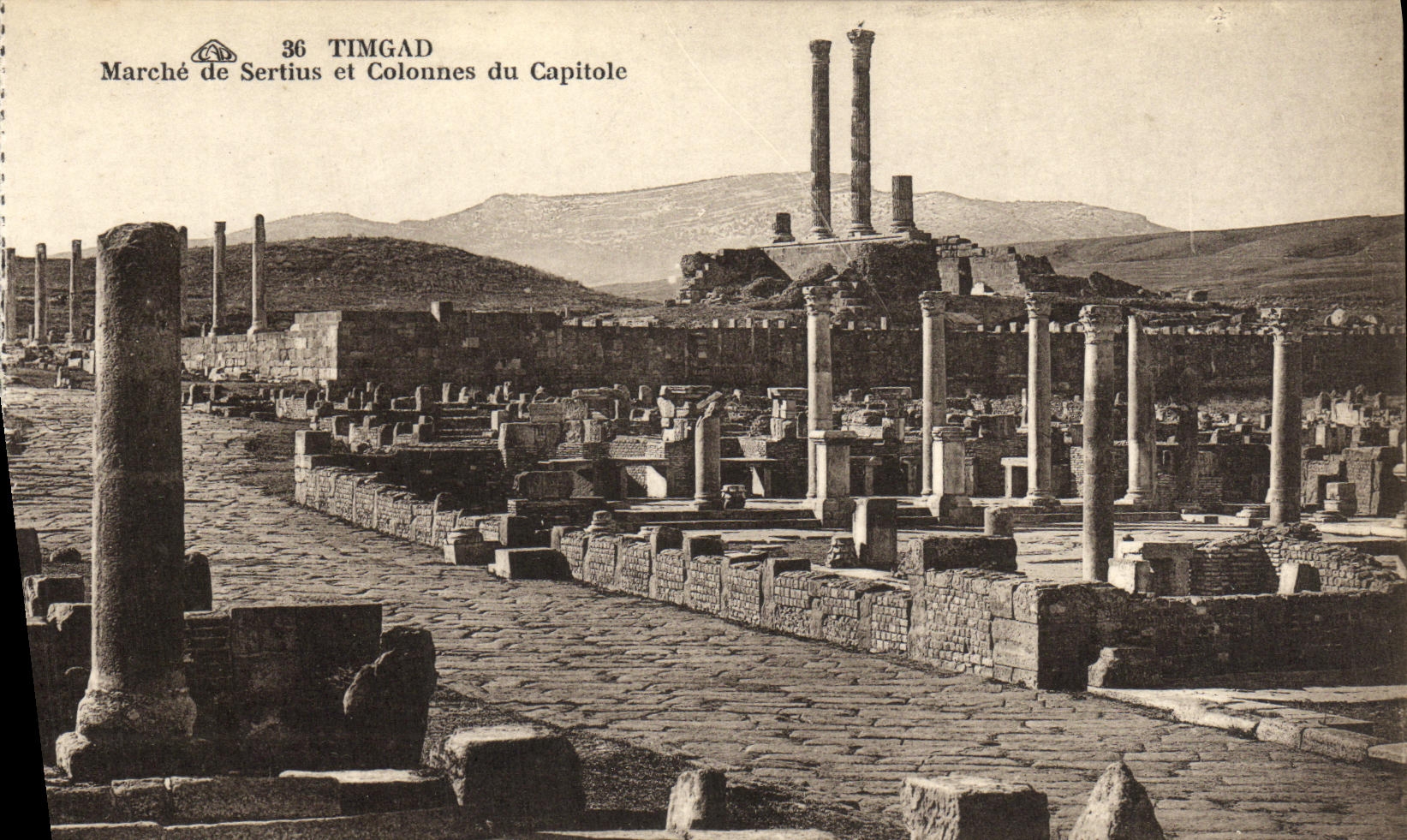 CPA Timgad Marche de Sertius et Colonnes du Capitole