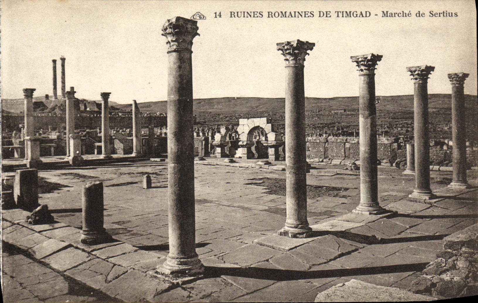 CPA Ruines Romaines De Timgad Marche de Sertius