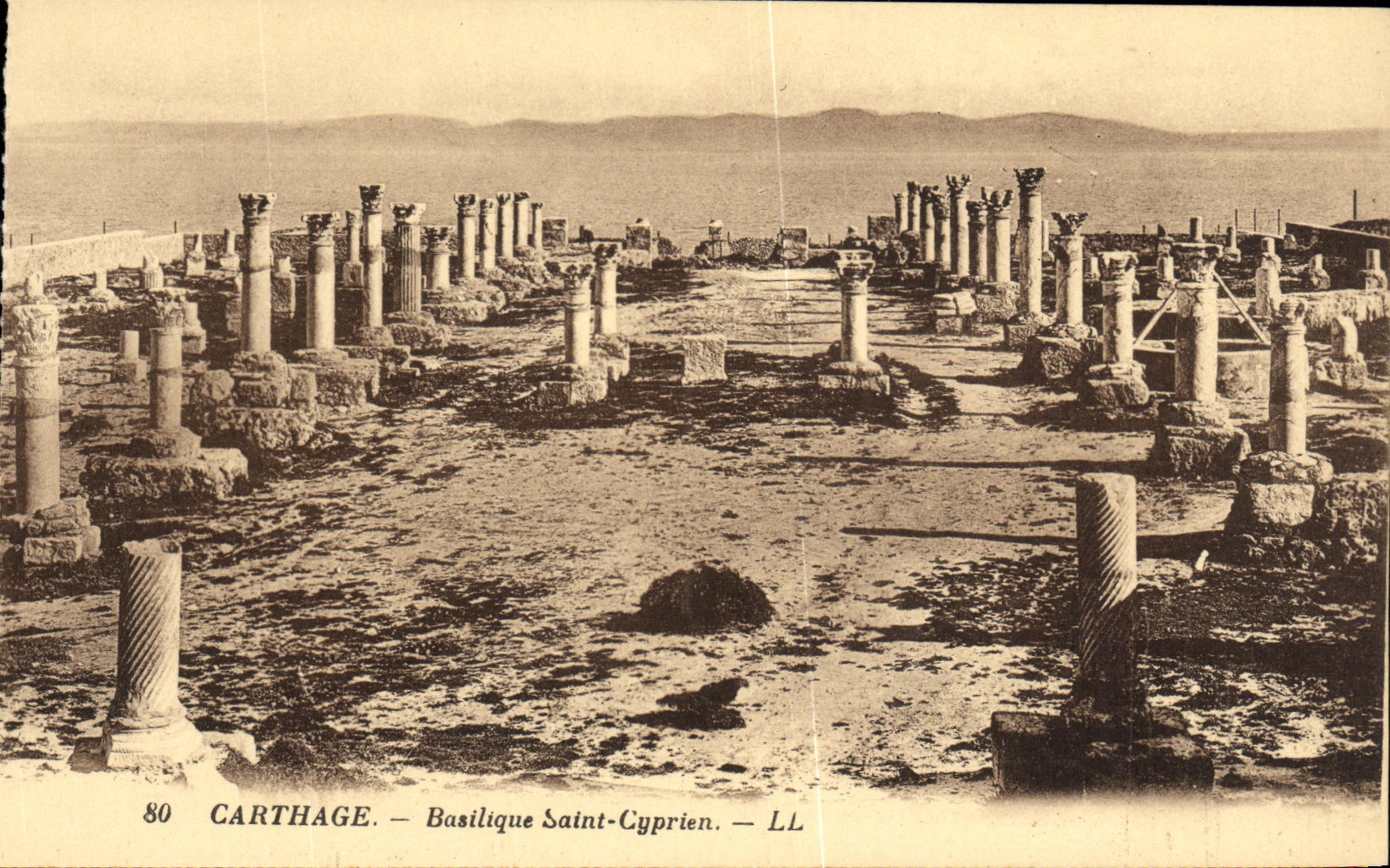CPA Carthage Basilique Saint Cyprien