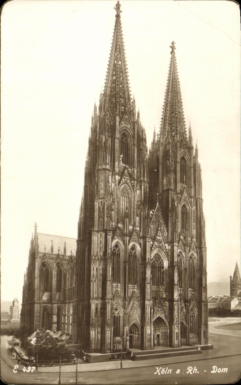 Derecho de Koln de la POSTAL de la VENDIMIA