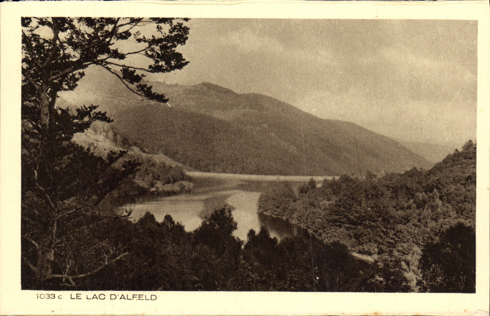 VINTAGE POSTCARD the Lake D Alfeld