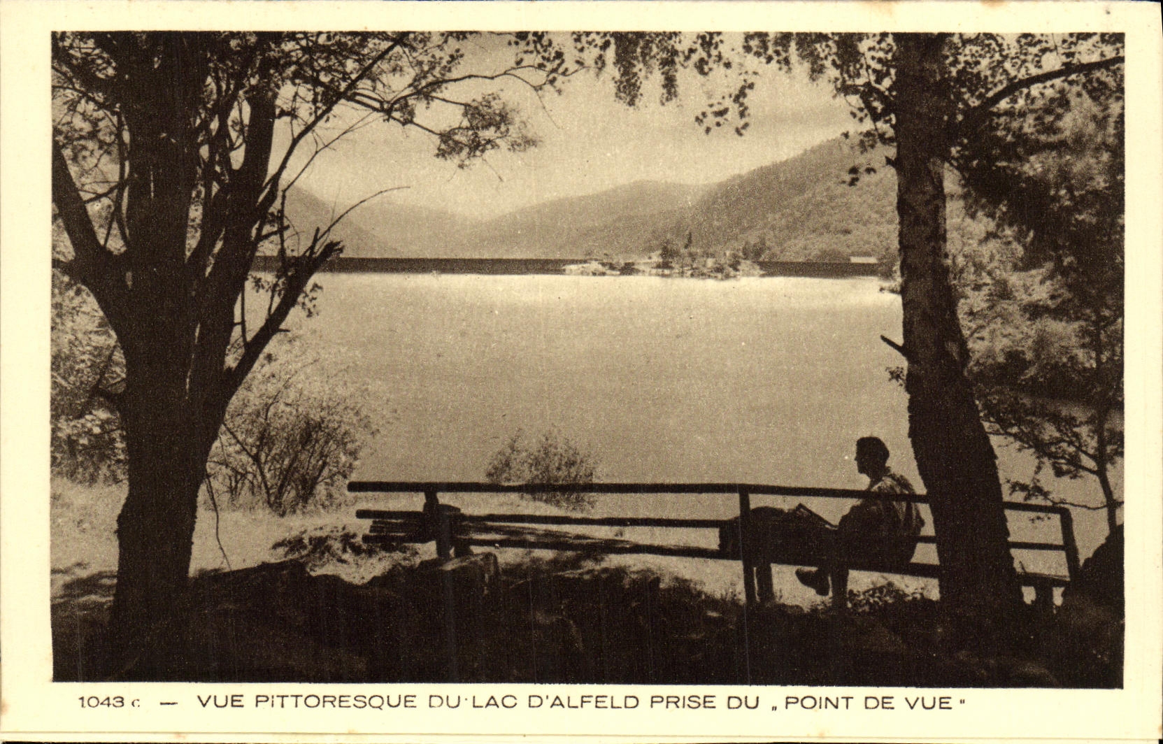 VINTAGE POSTCARD the Lake D Alfeld Seen Picturesque Of the Lake Taken From the Point of view