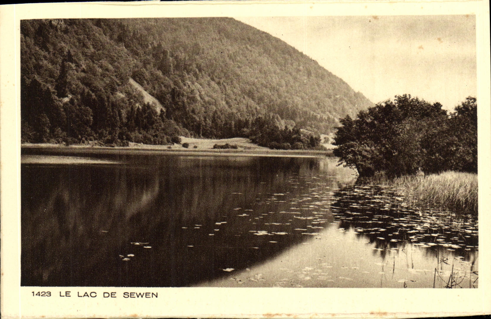 VINTAGE POSTCARD the Lake De Sewen