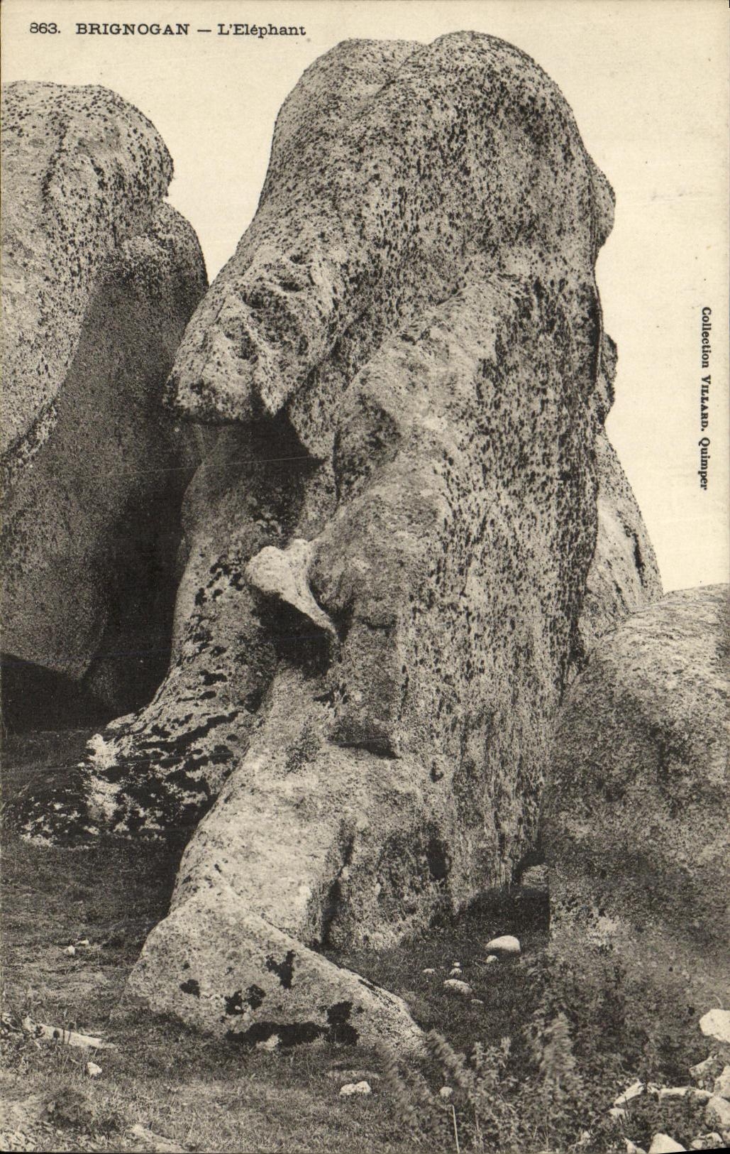 VINTAGE POSTCARD Brignogan L Elephant
