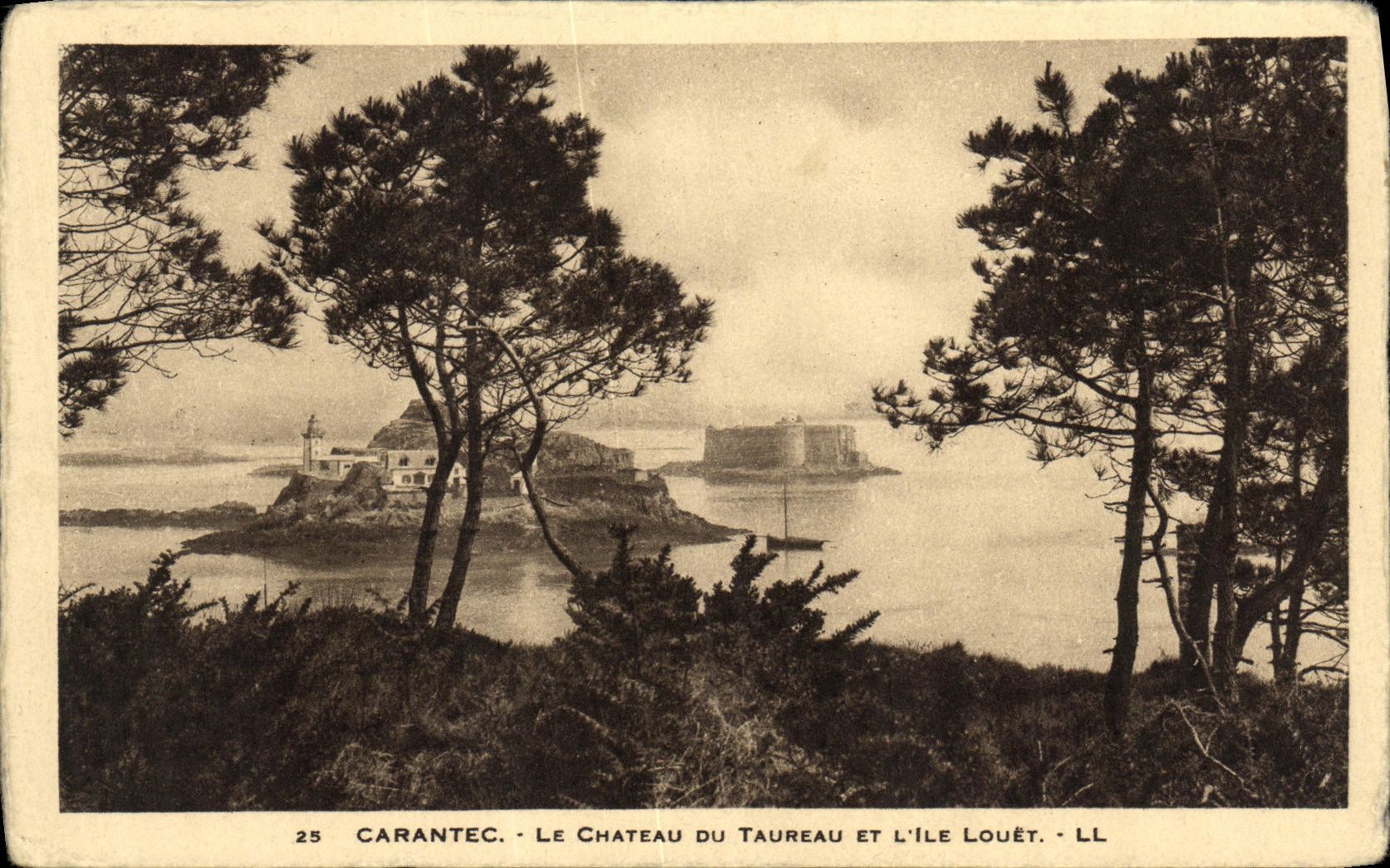 CPA Carantec Le Chateau Du taureau et l ile Louet