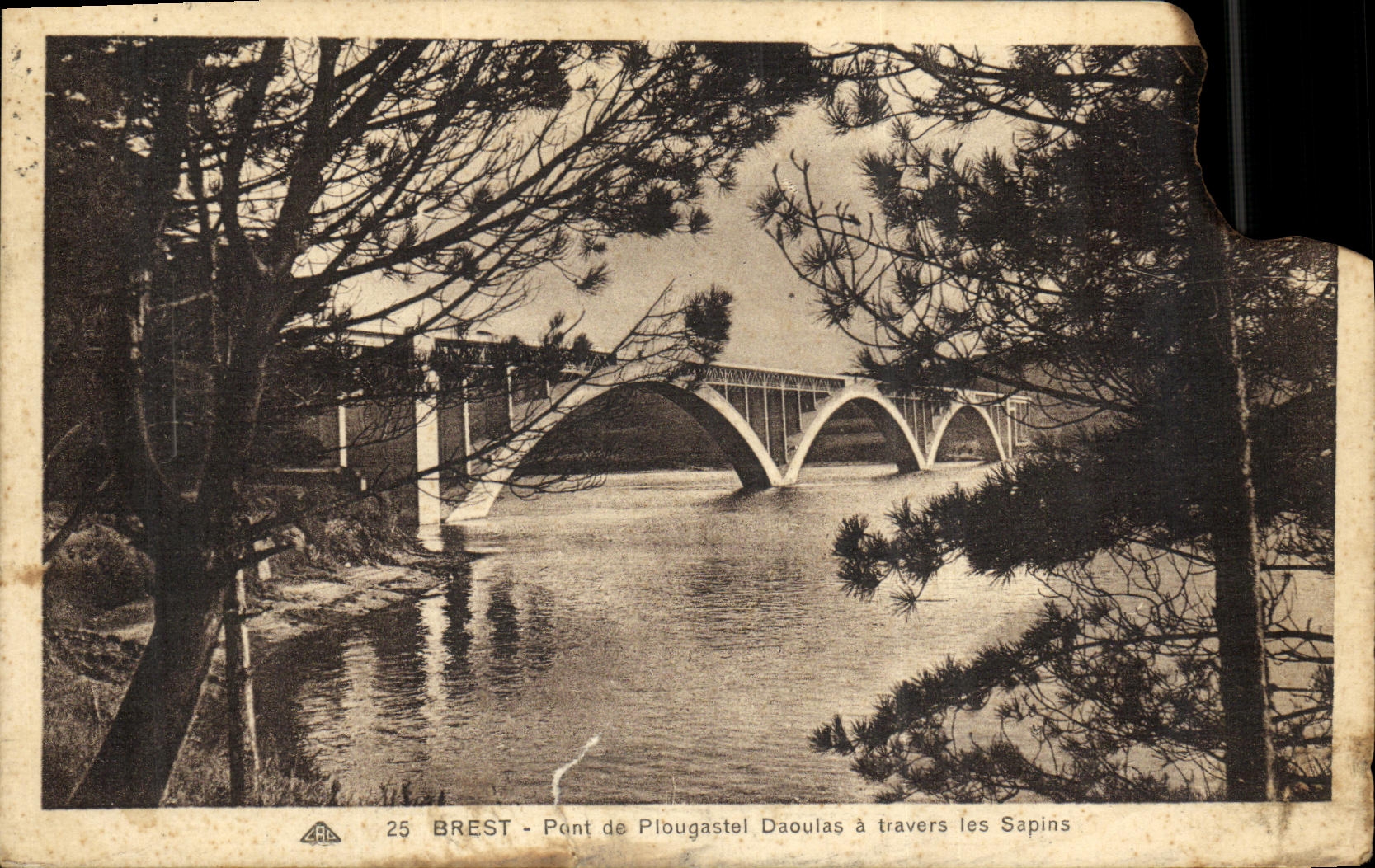 CPA Brest Pont de Plougastel Daouias a travers les Sapins