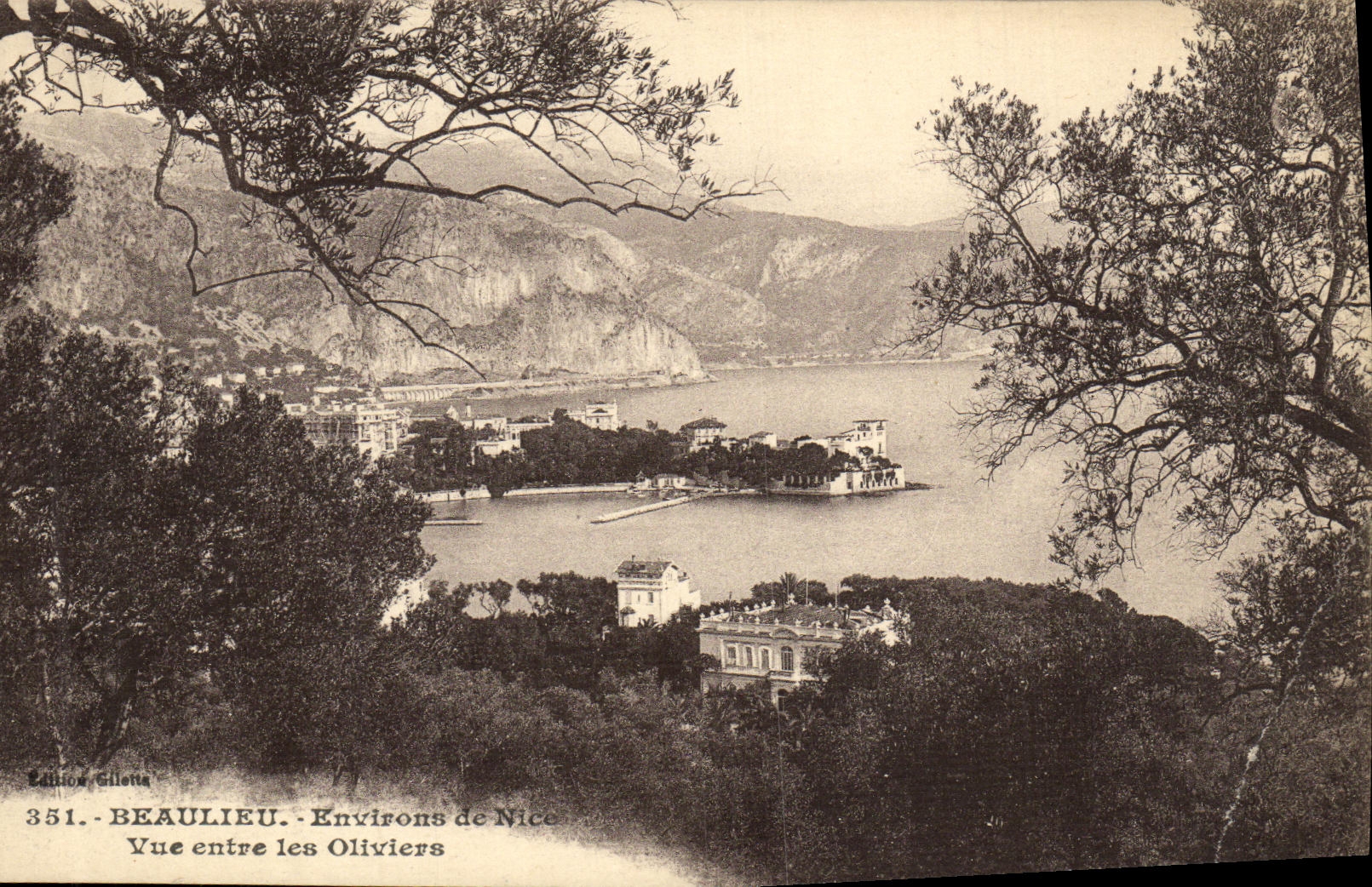 CPA Beaulieu Vue entre LEs Oliviers