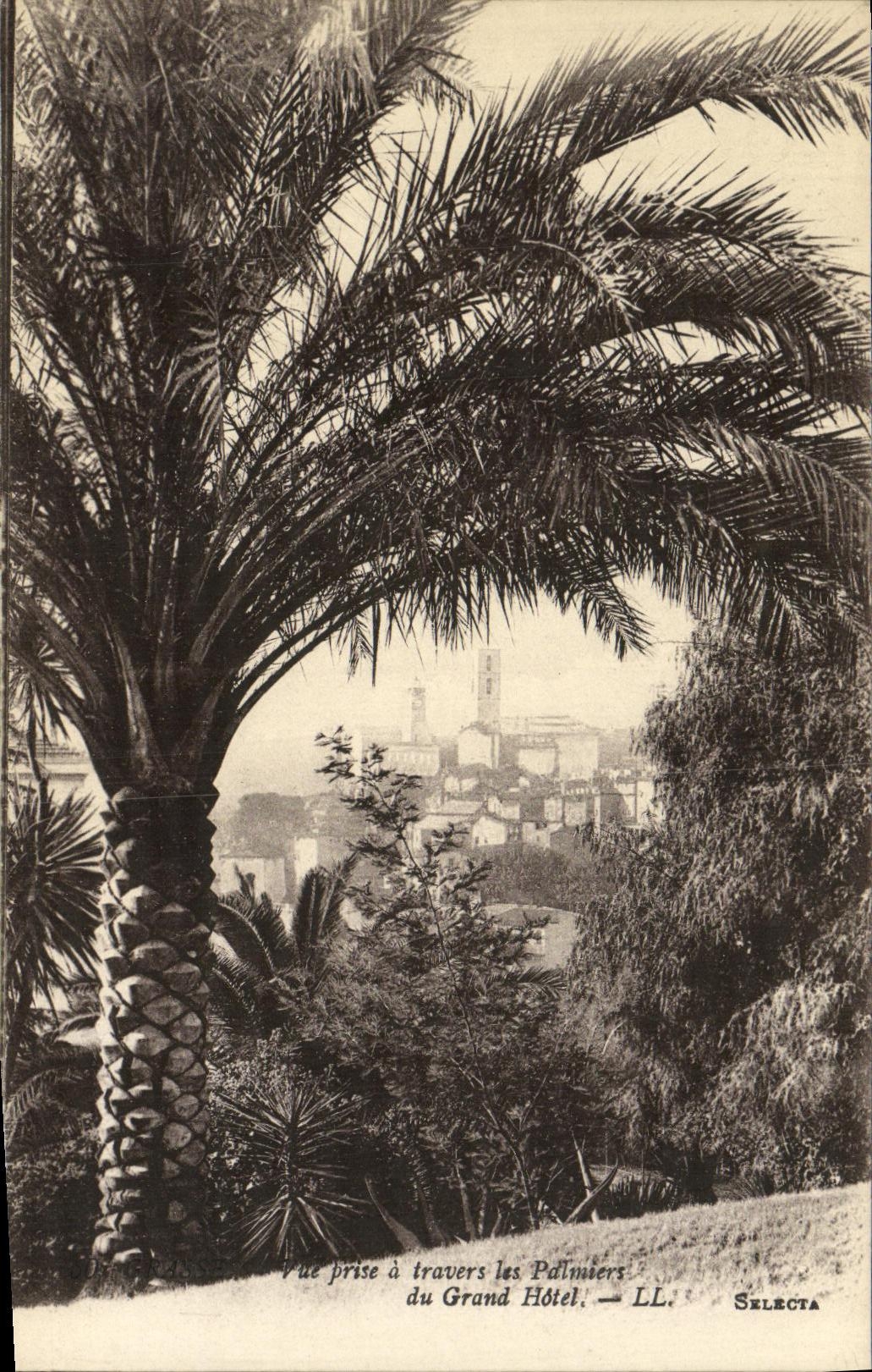 POSTAL de la VENDIMIA grasa vista a traves de la palmera del hotel grande