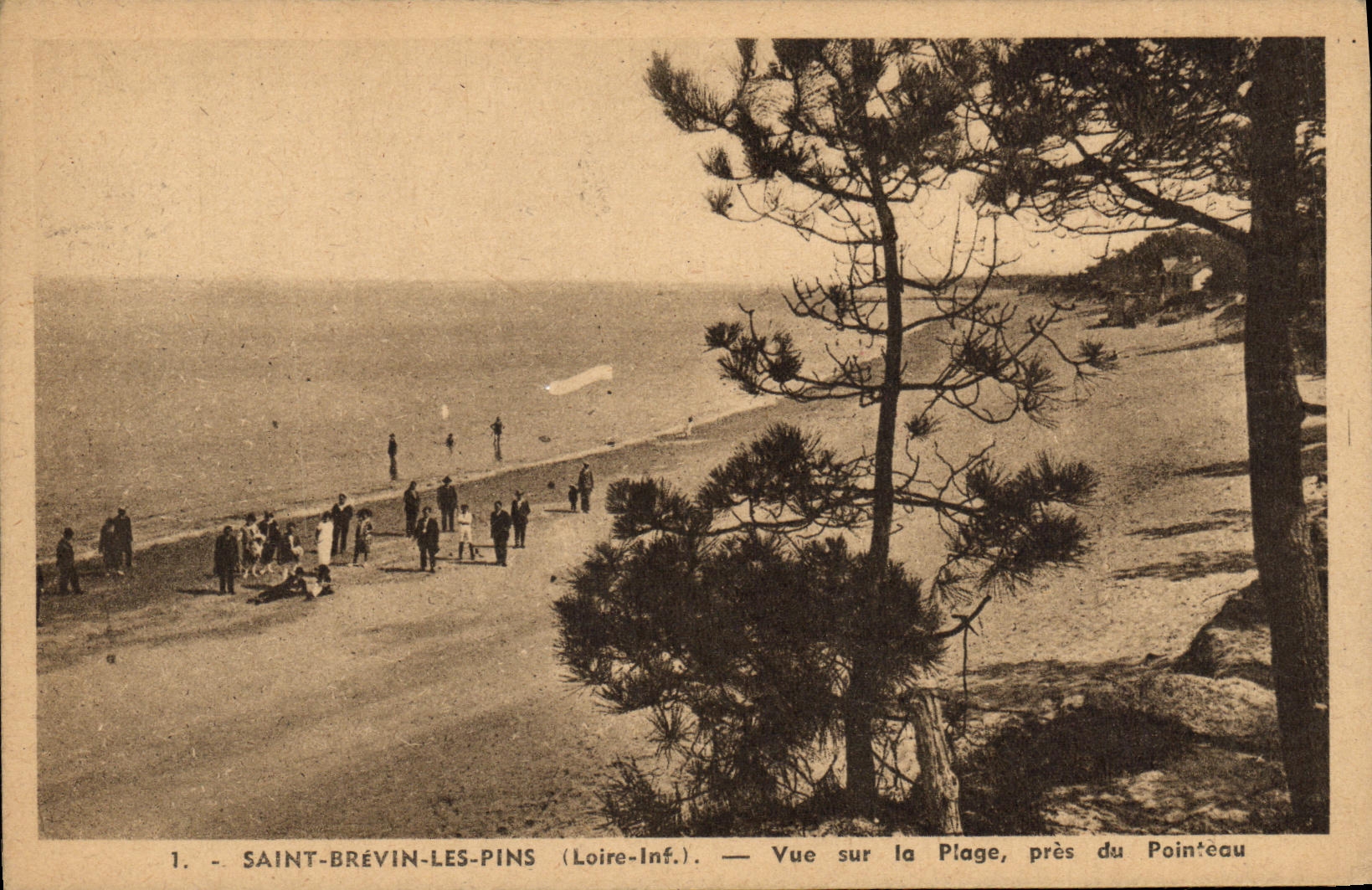 Pinos santos de Brevin de la POSTAL de la VENDIMIA vistos en la playa cerca del sacador