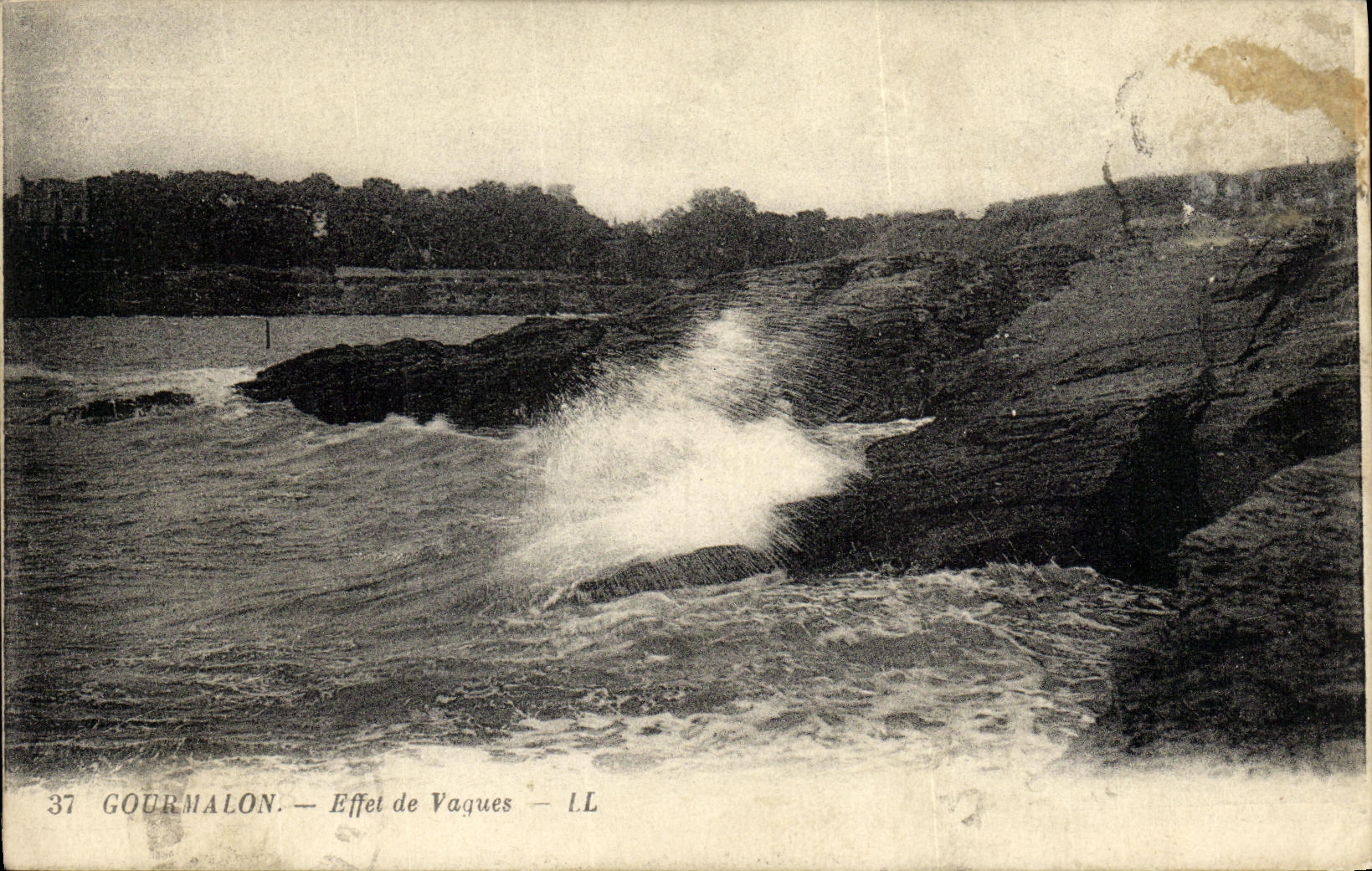 Ondas del efecto de Gourmalon de la POSTAL de la VENDIMIA