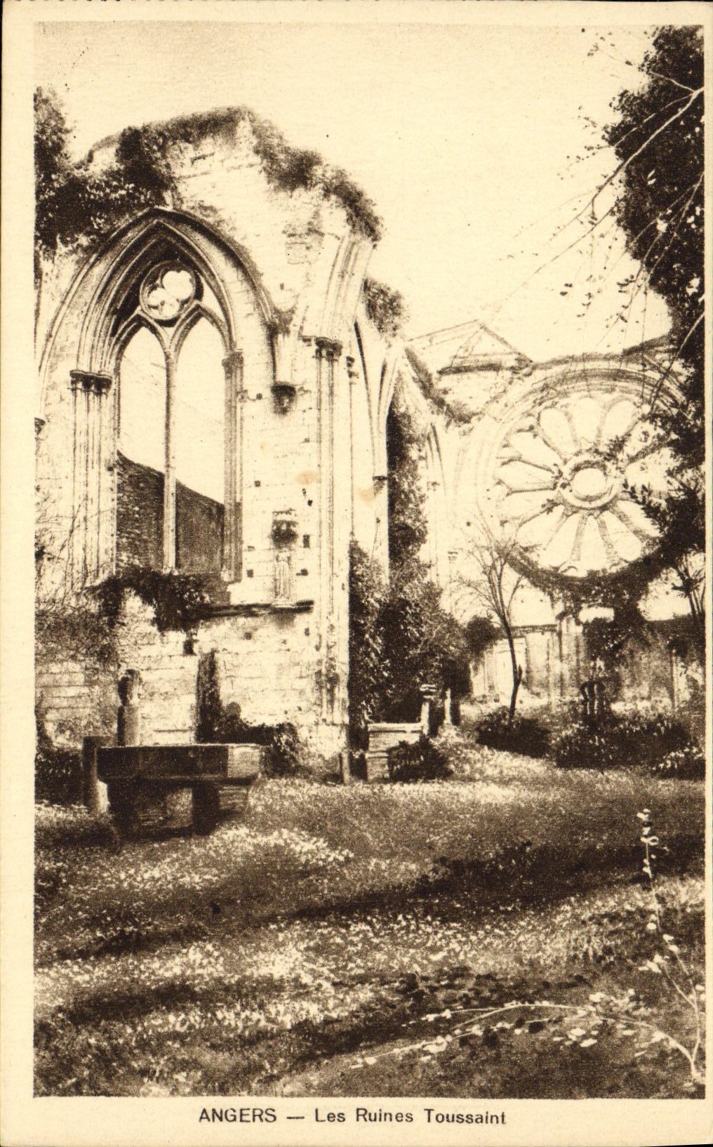 CPA Angers Les Ruines Toussaint