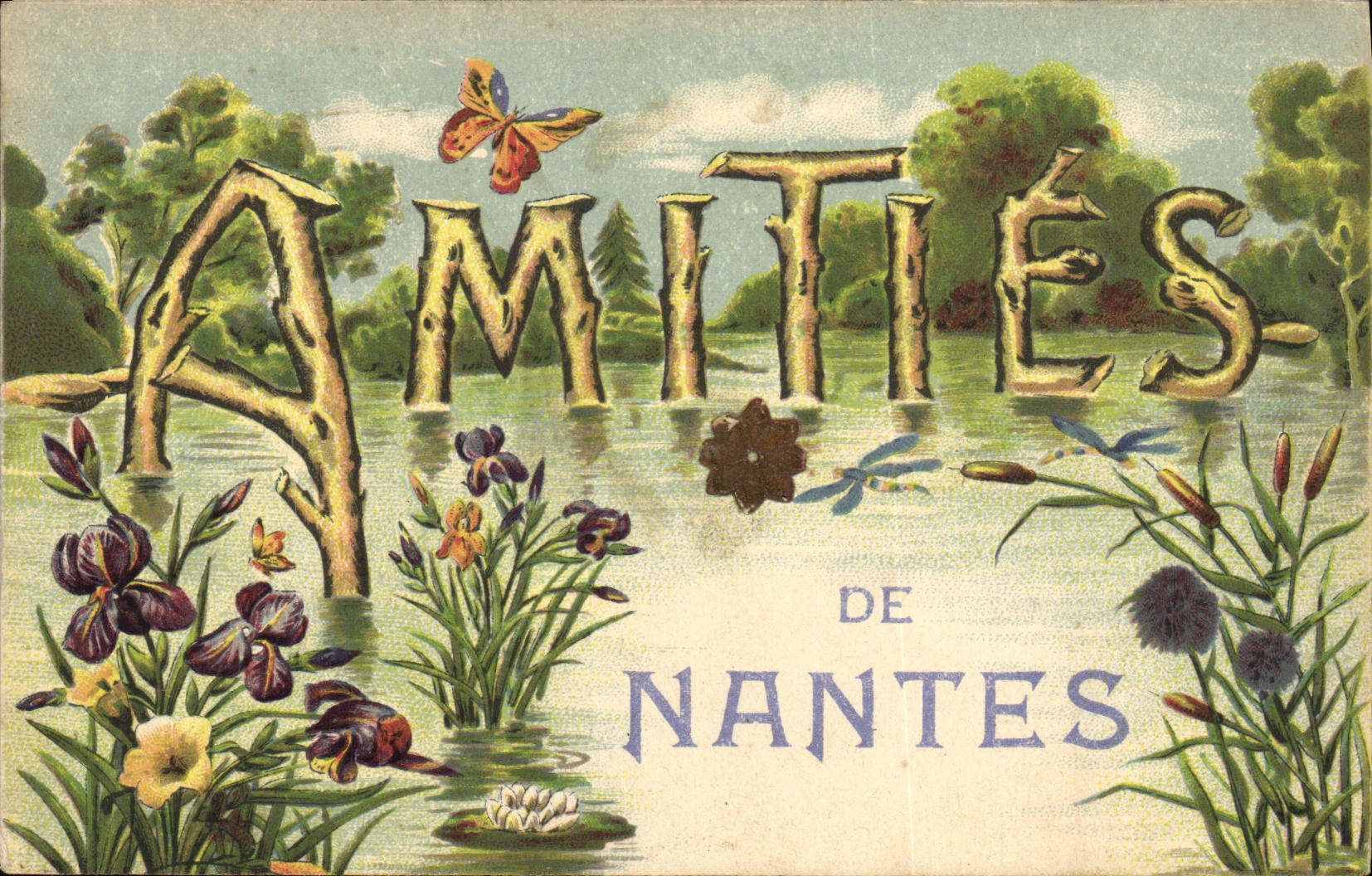 VINTAGE POSTCARD Friendships of Nantes Butterfly Flowers