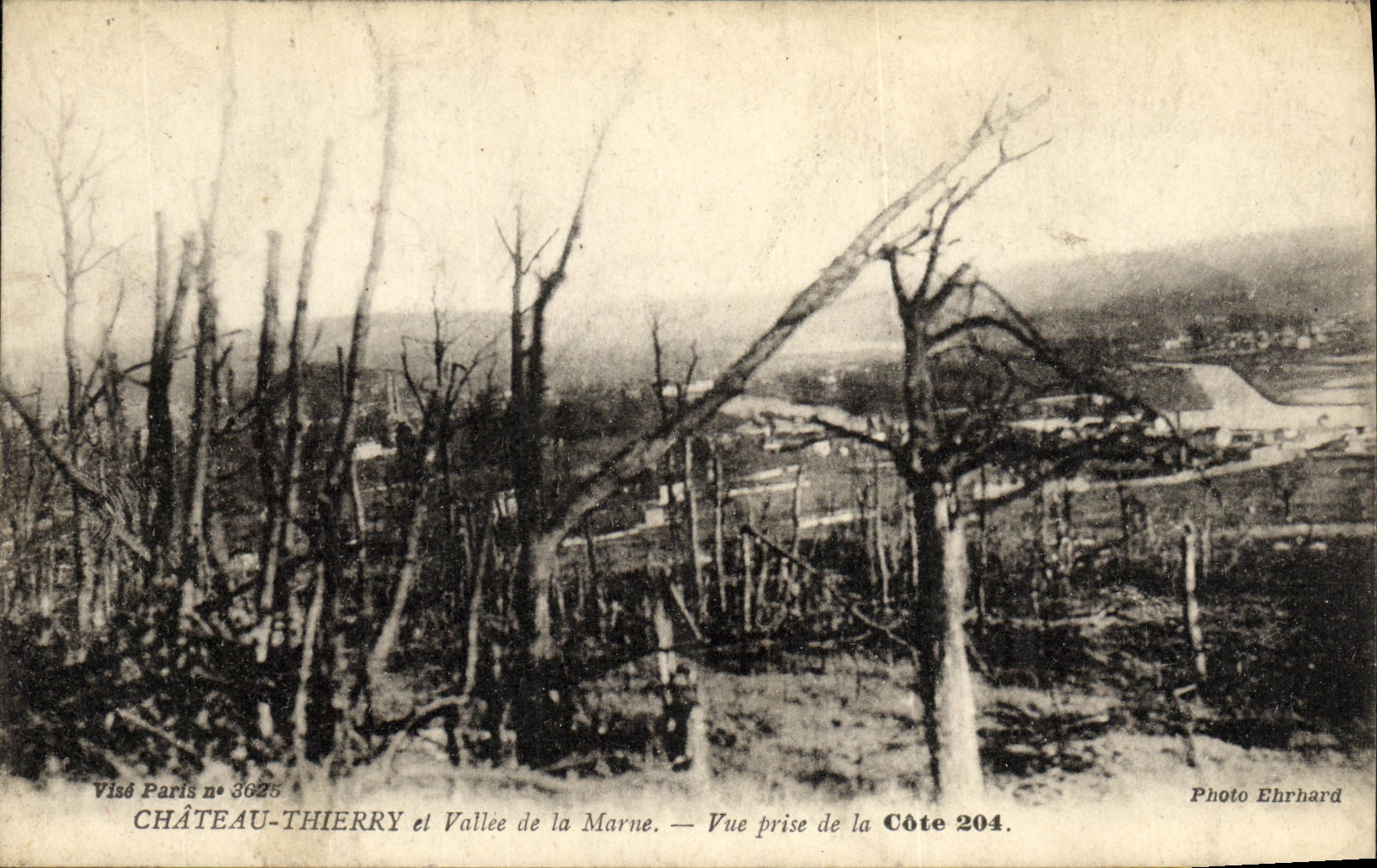 Castillo de Thierry de la POSTAL de la VENDIMIA y Vallee del Marne vista de la dimension 204 Militaria