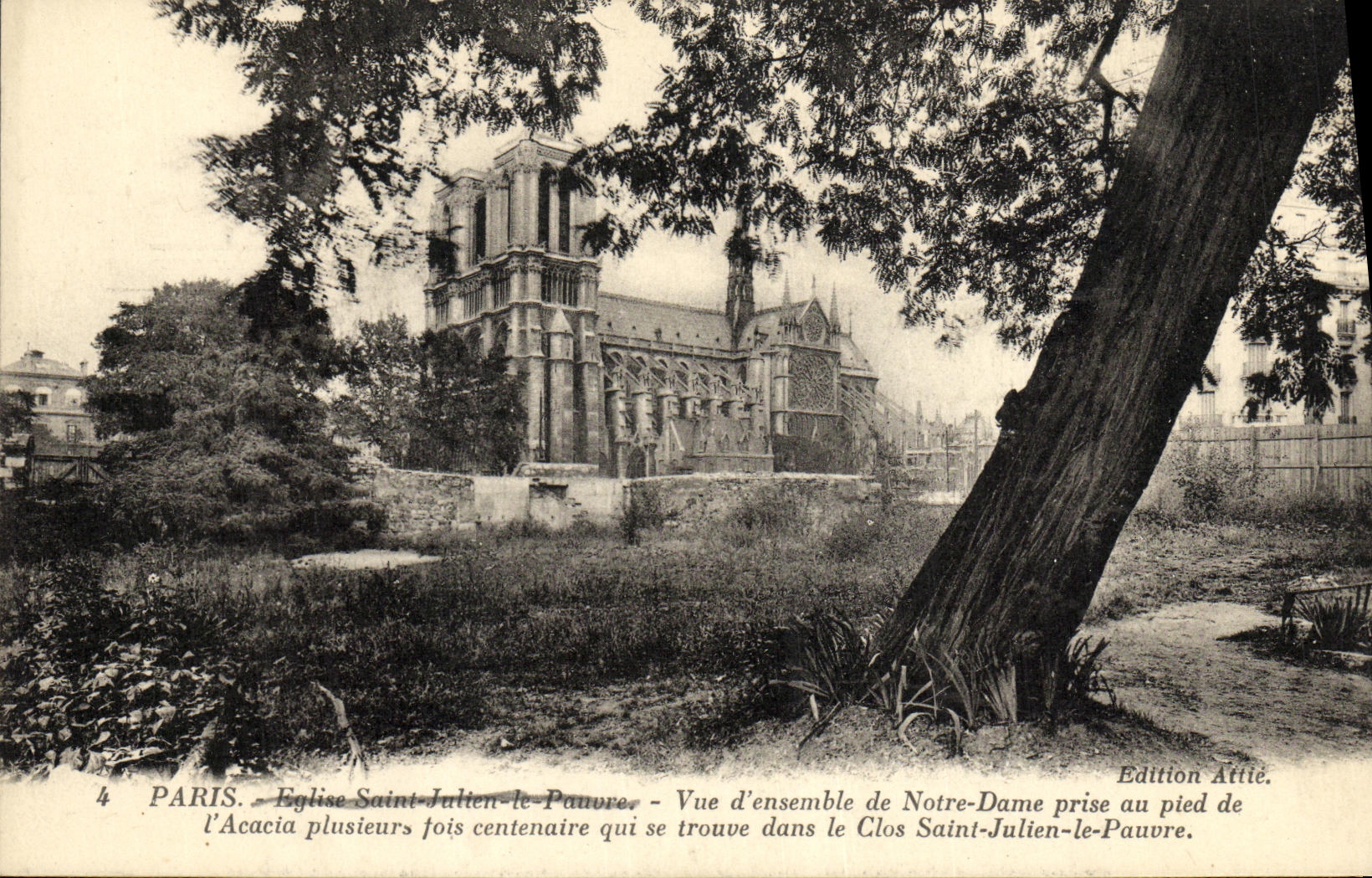 VINTAGE POSTCARD Paris Seen D together of Notre Dame taken with the foot of L acacia