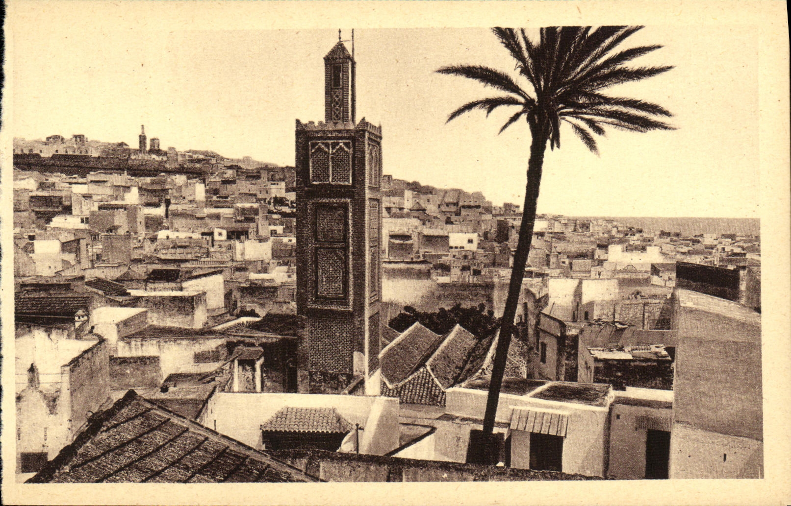CPA Tanger Mosquee Jedida et Palmier des Aissaouas