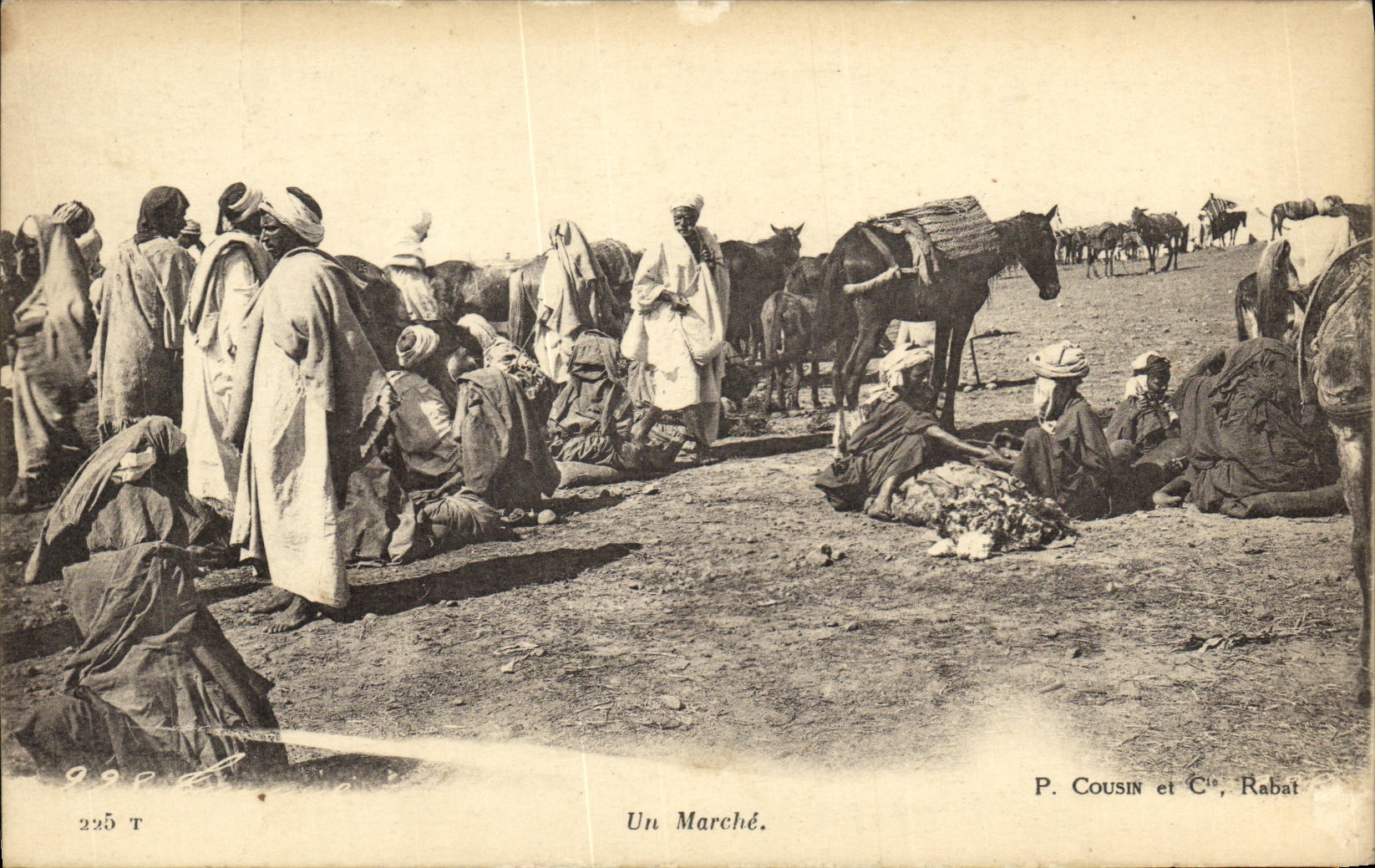 POSTAL de la VENDIMIA un mercado