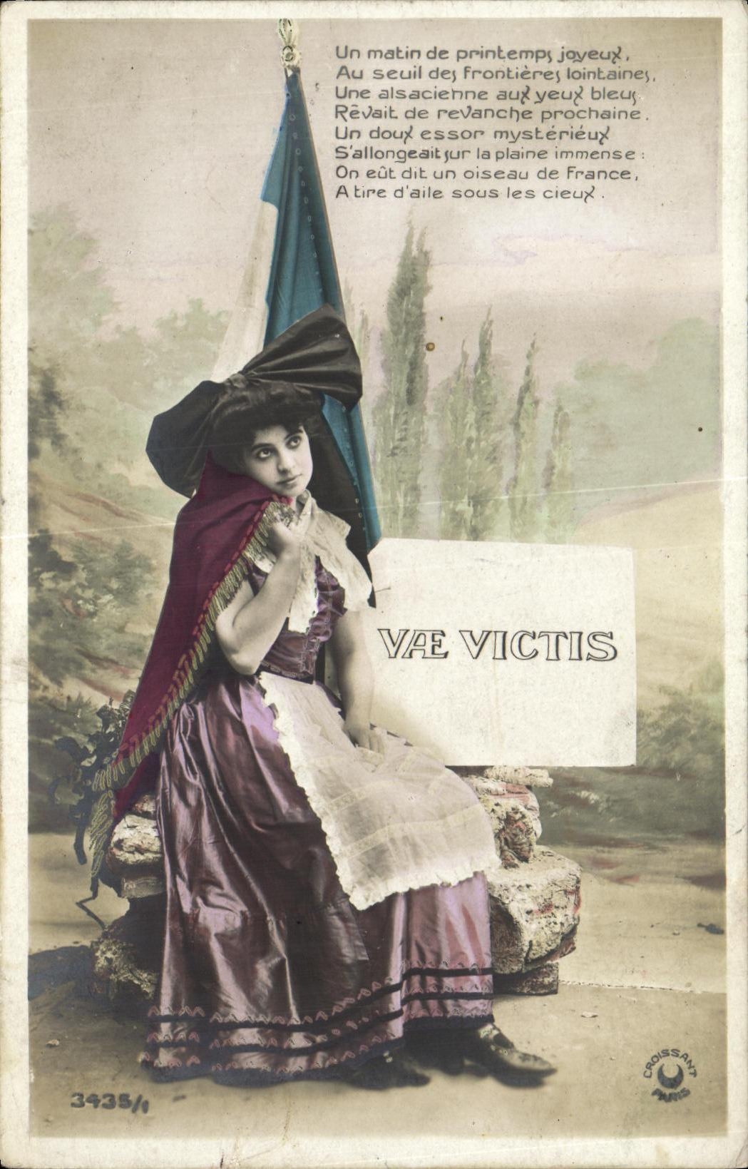 VINTAGE POSTCARD Militaria Alsace Woman