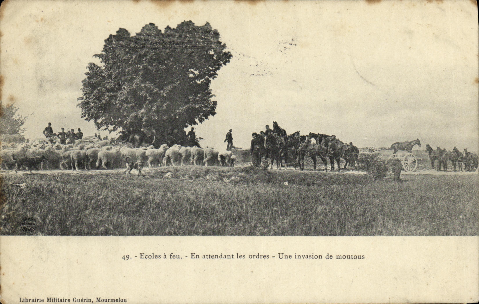 CPA Militaria Ecoles a feu En attendant les ordres Une invasion de moutons Canons