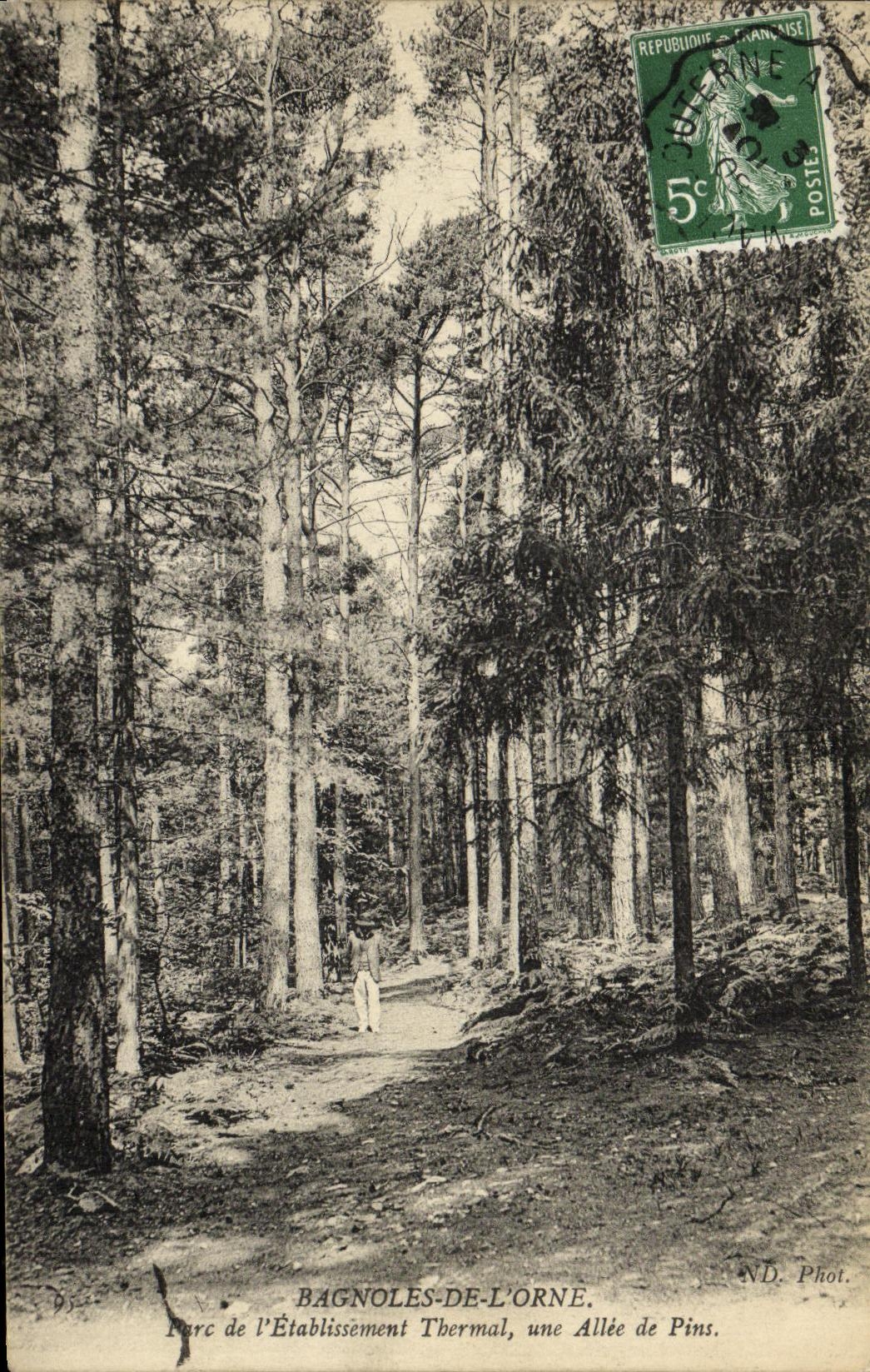 CPA Bagnoles De L Orne Parc de l Etablissement Thermal Une allee de pins