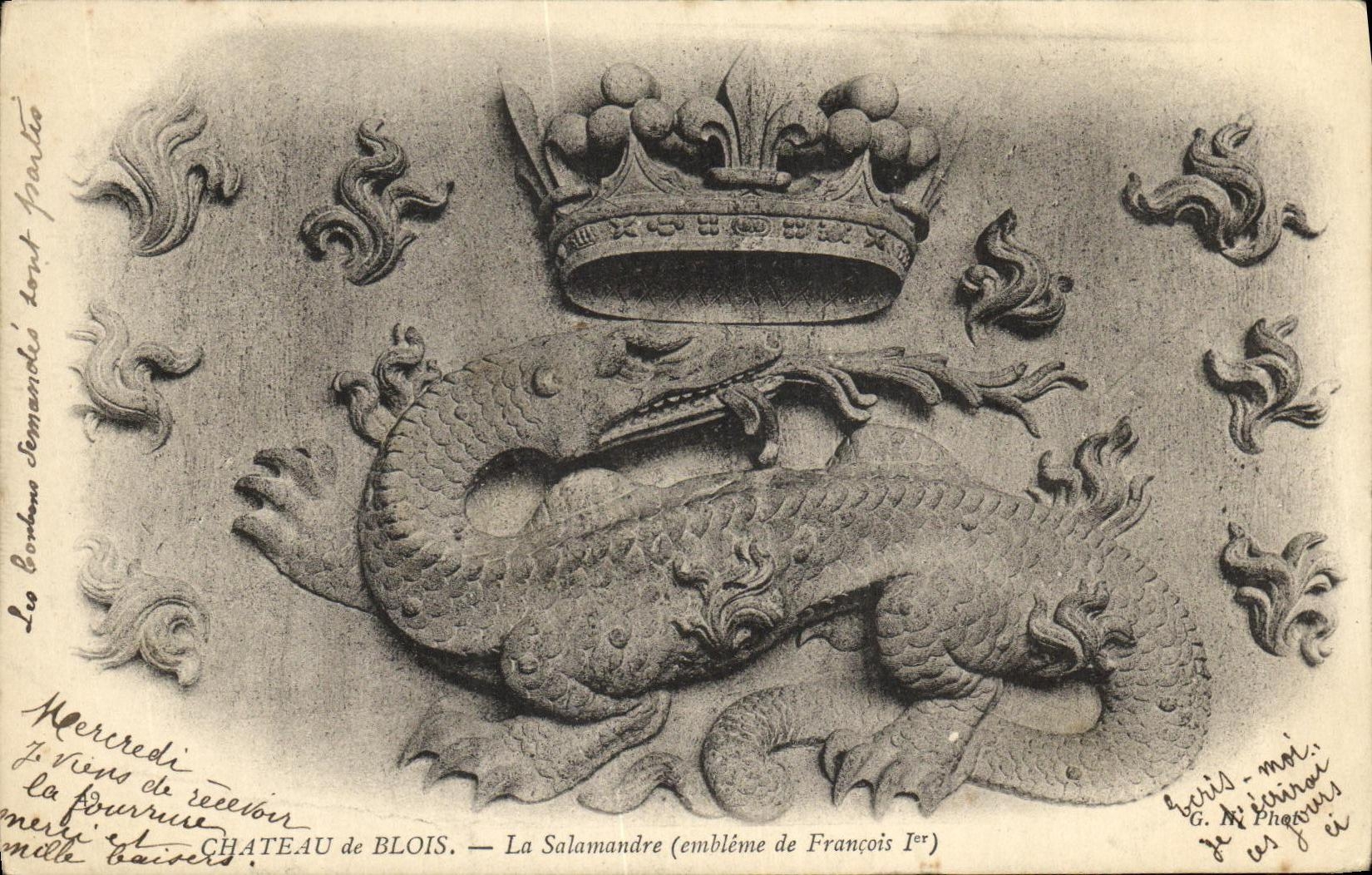 CPA Blois Chateau La Salamandre Embleme de Francois 1er