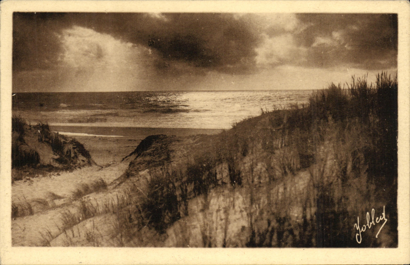 VINTAGE POSTCARD wild Hossegor Sea