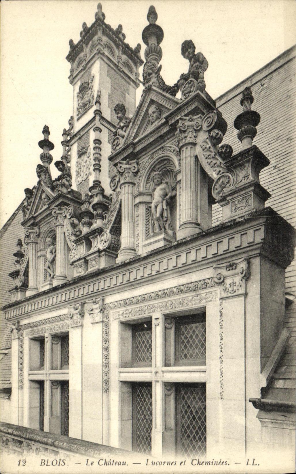 CPA Blois Le Chateau Lucarnes et Cheminees