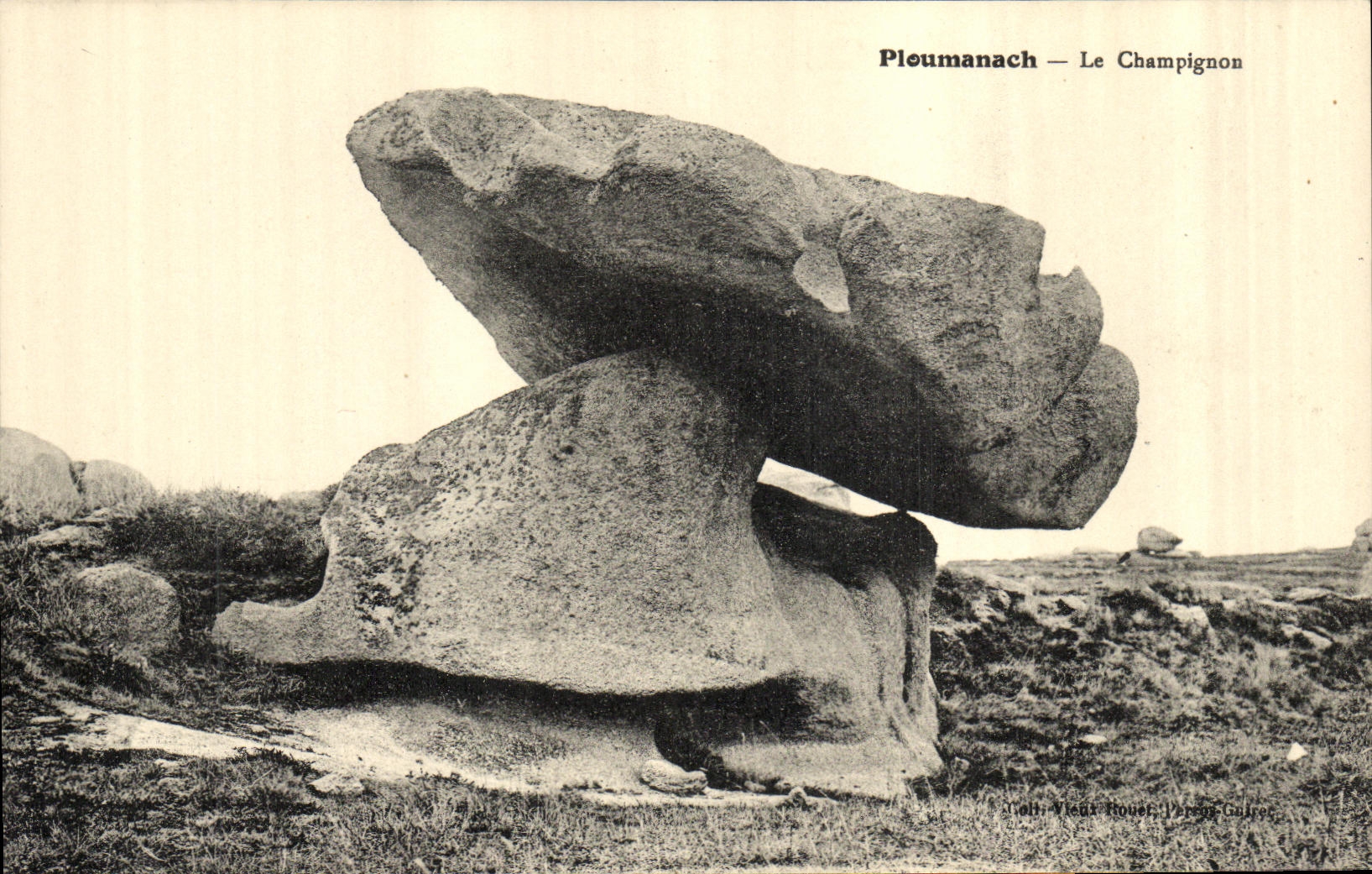CPA Ploumanach Le Champignon
