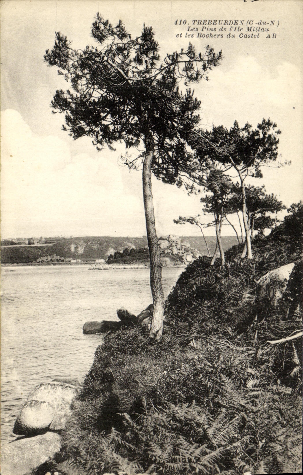 CPA Trebeurden Les Pins de l lle Milliau et les Rochers du Castel