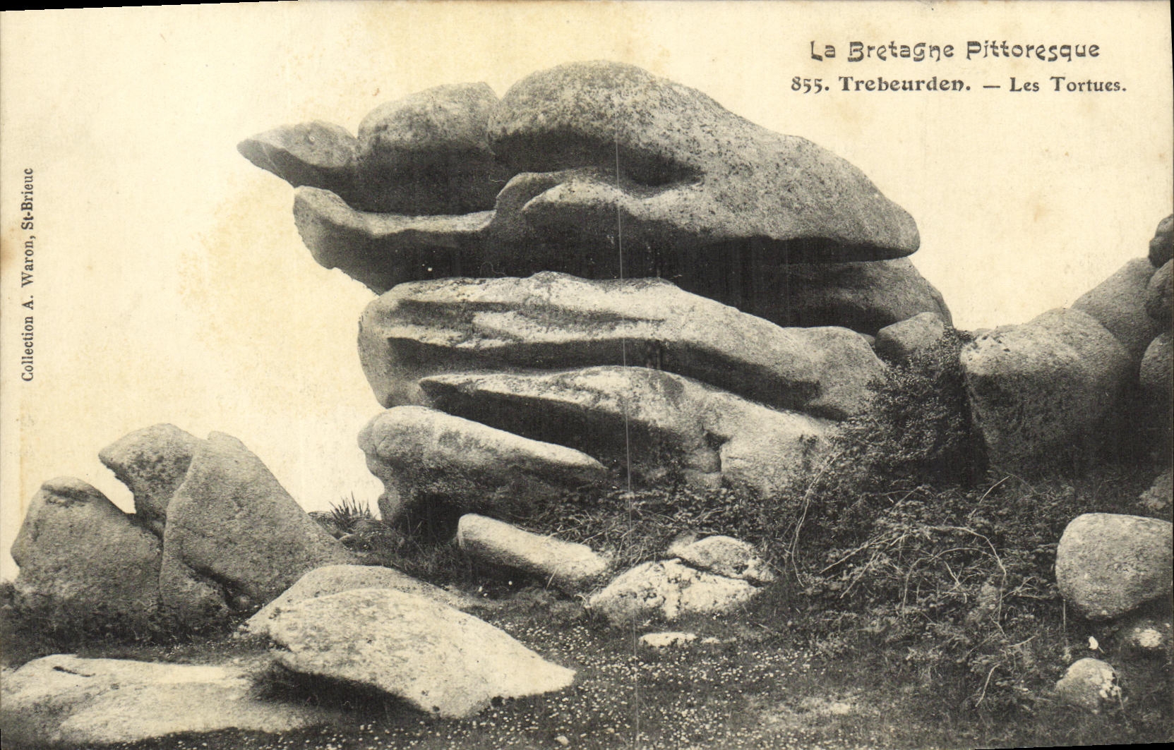 CPA Trebeurden Les Tortues